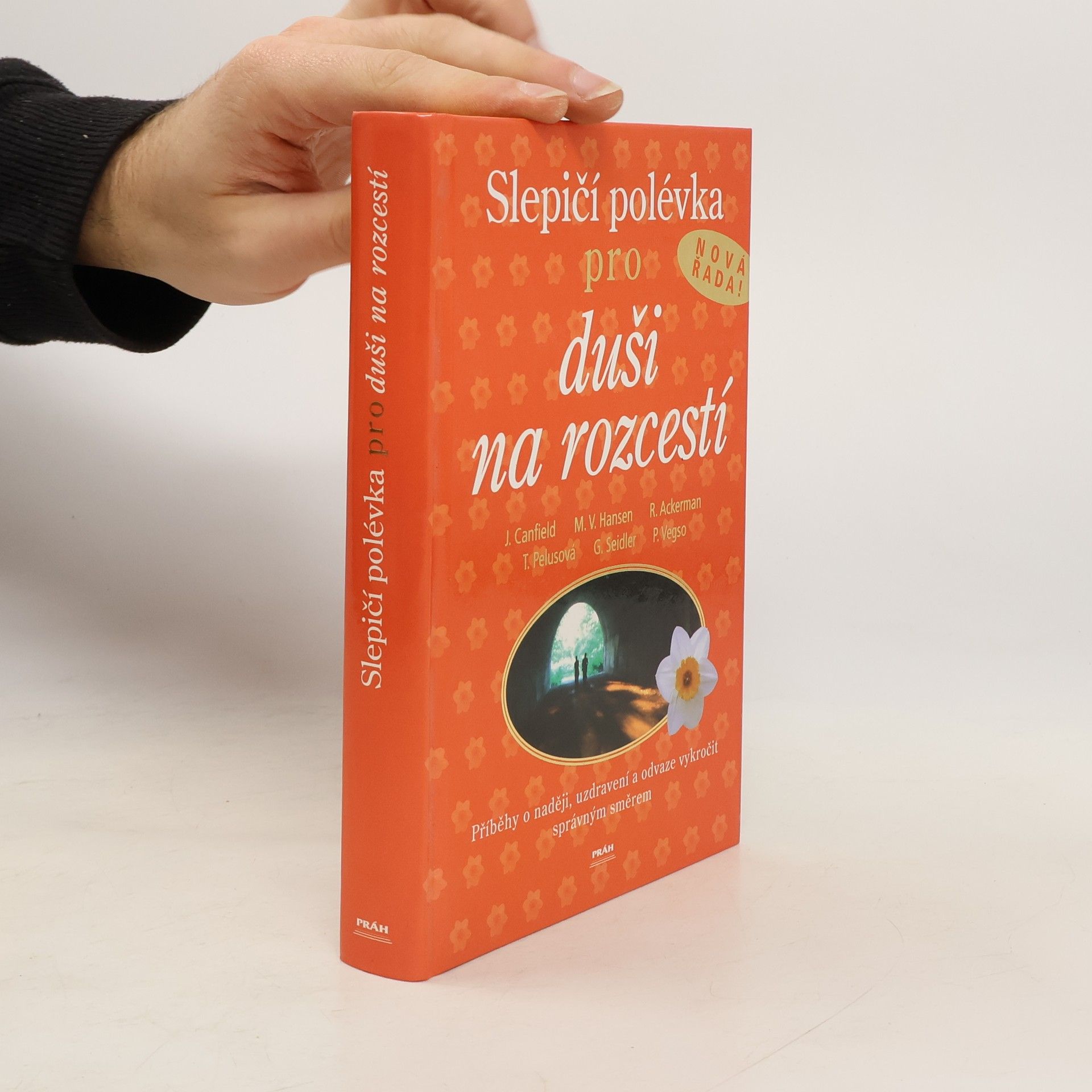 Jack Canfield Slepičí polévka pro duši na rozcestí