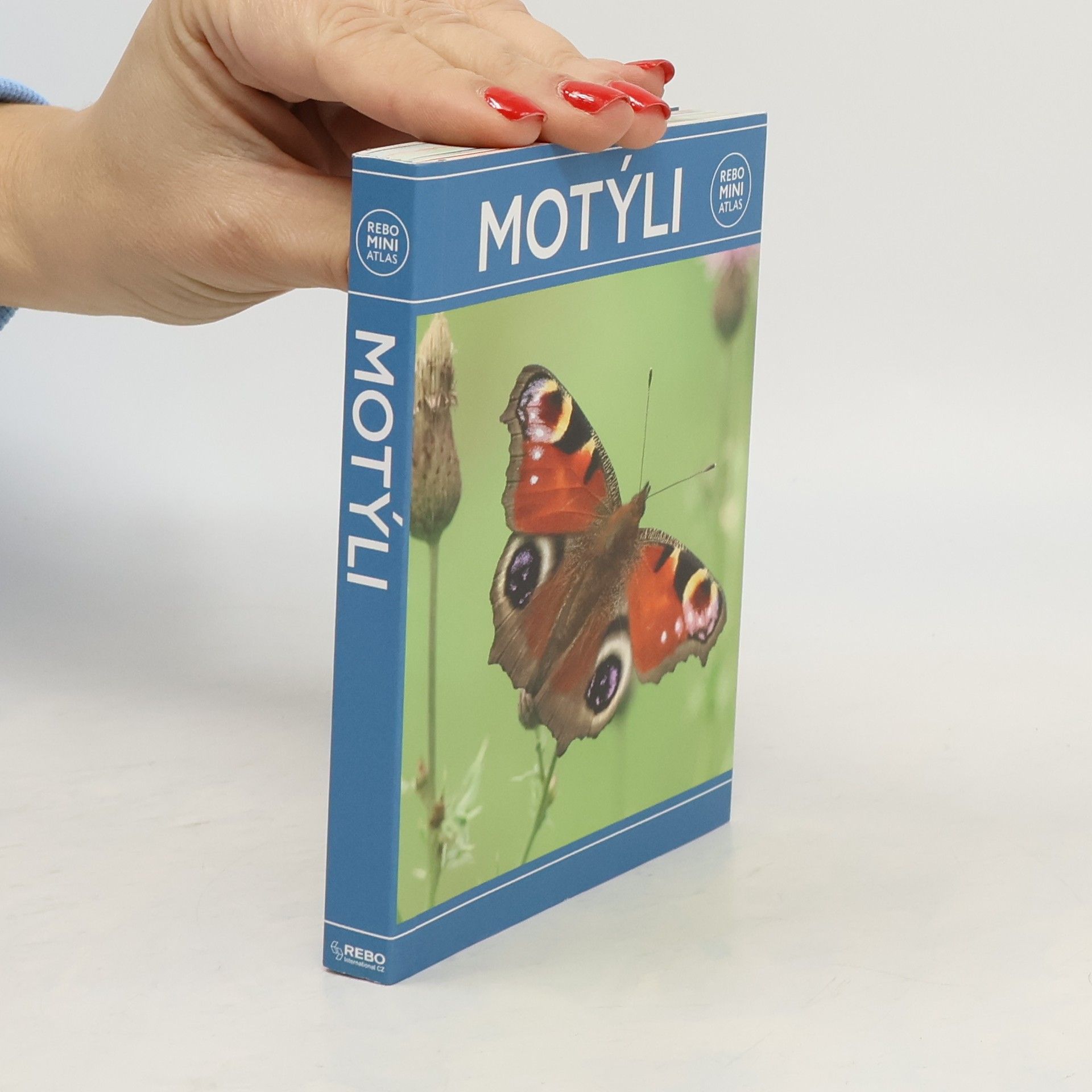 Kolektív autorov Motýli miniatlas