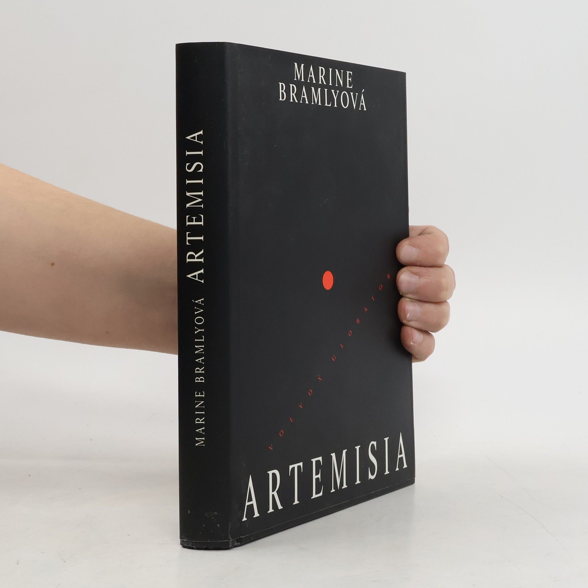 Marine Bramly Artemisia aneb Malířská náruživost