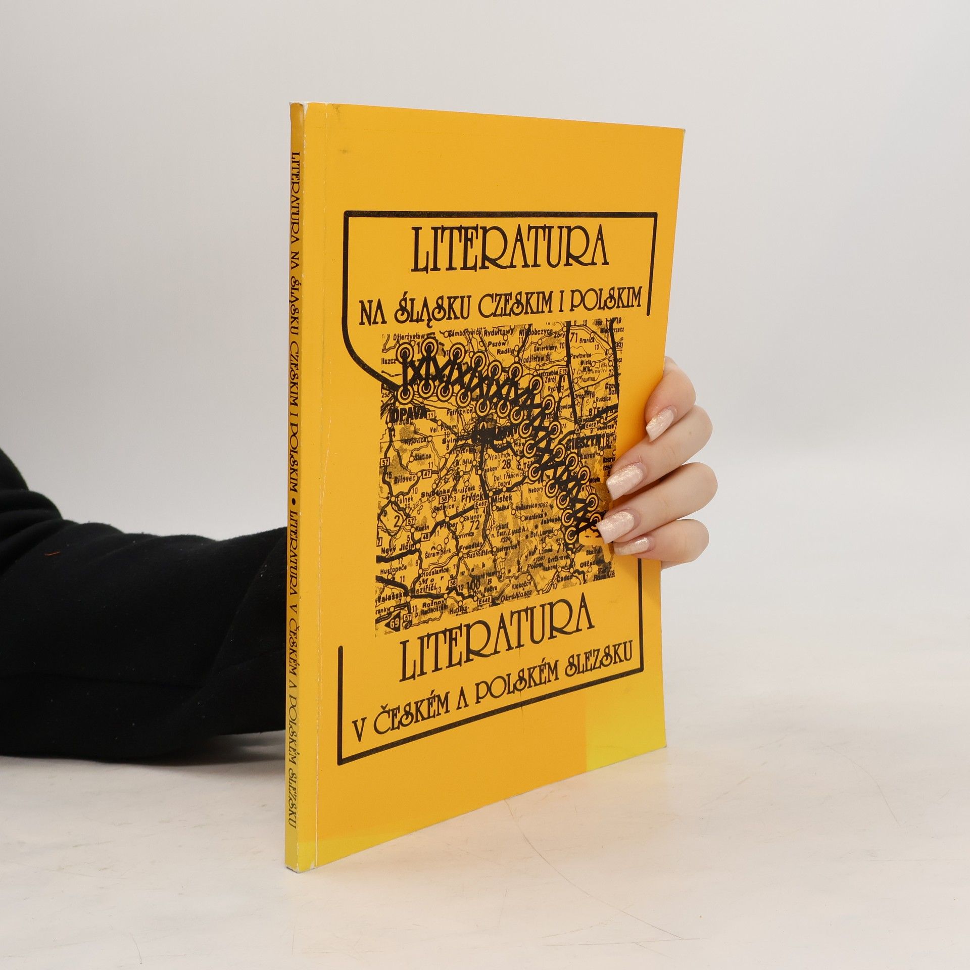 Kolektiv autorů Literatura v českém a polském Slezsku / Literatura na Śląsku czeskim i polskim