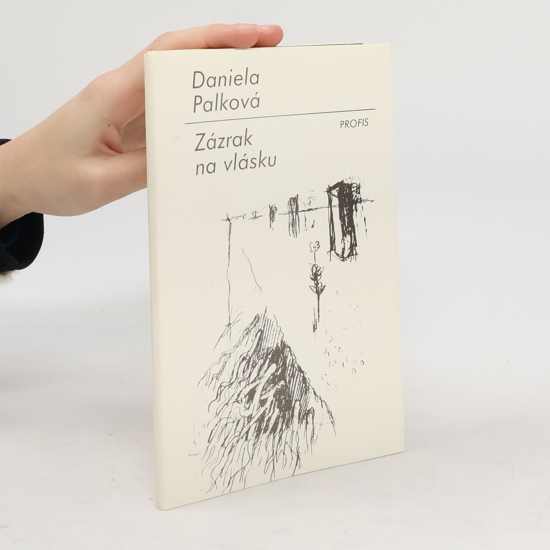 Daniela Palkova Zázrak na vlásku