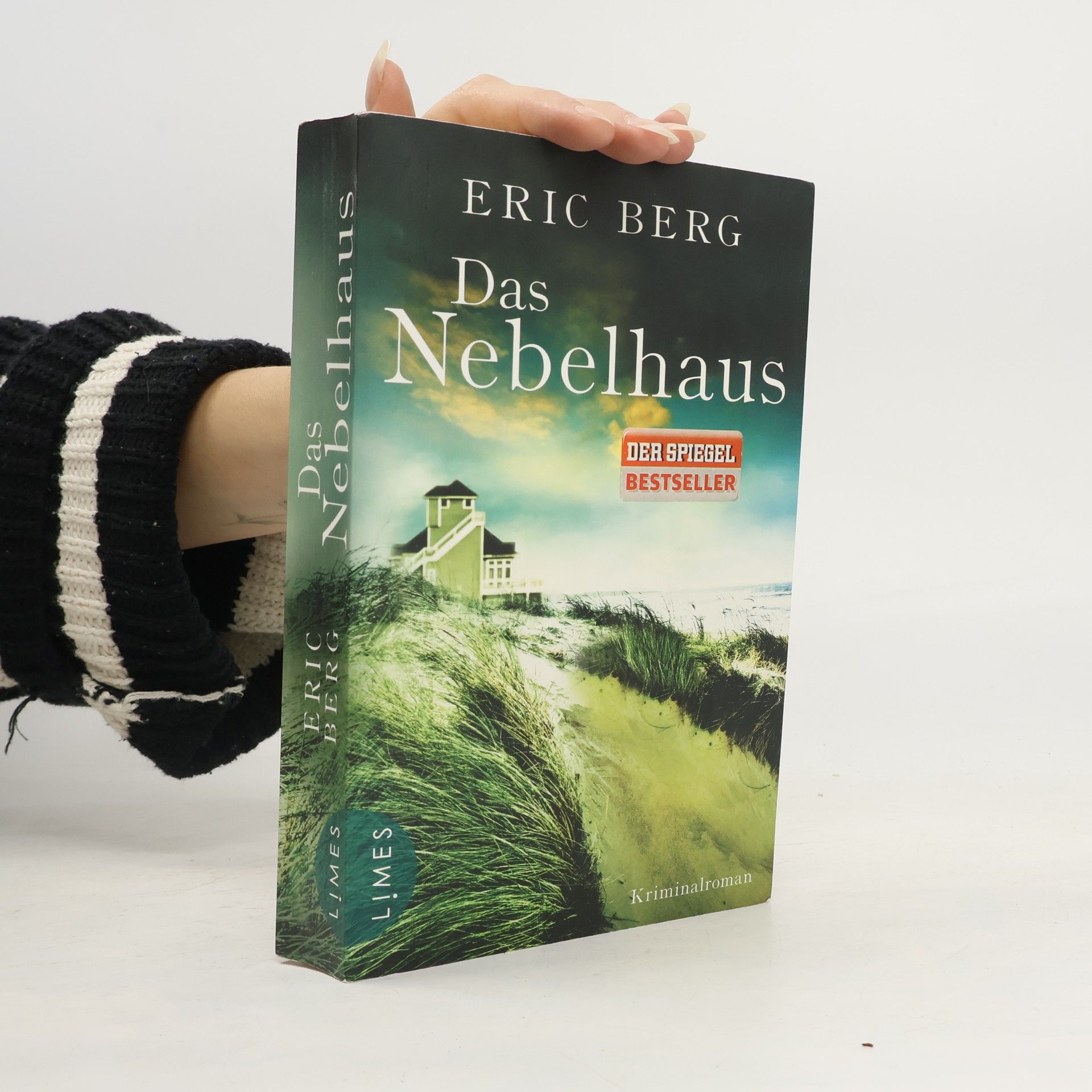 Eric Berg Das Nebelhaus