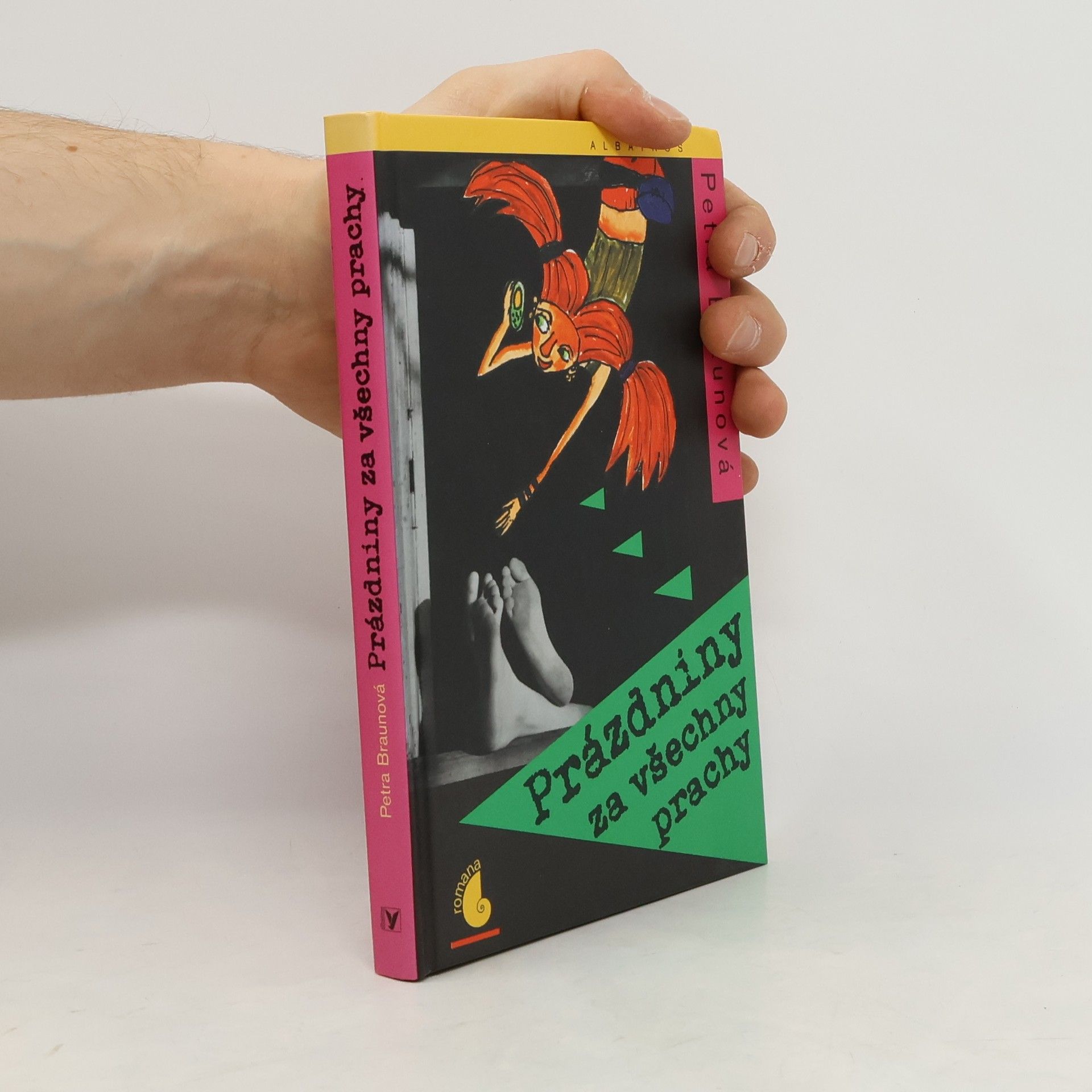 Petra Braunová Prázdniny za všechny prachy