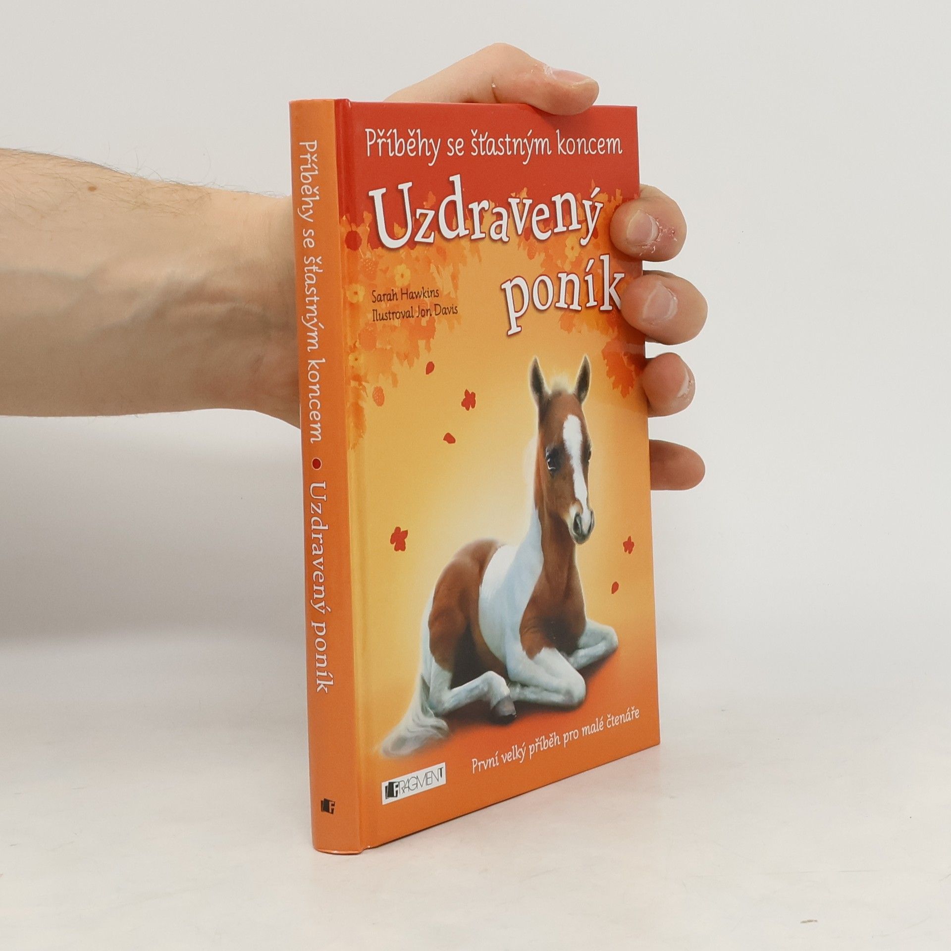 Eva Brožová Uzdravený poník