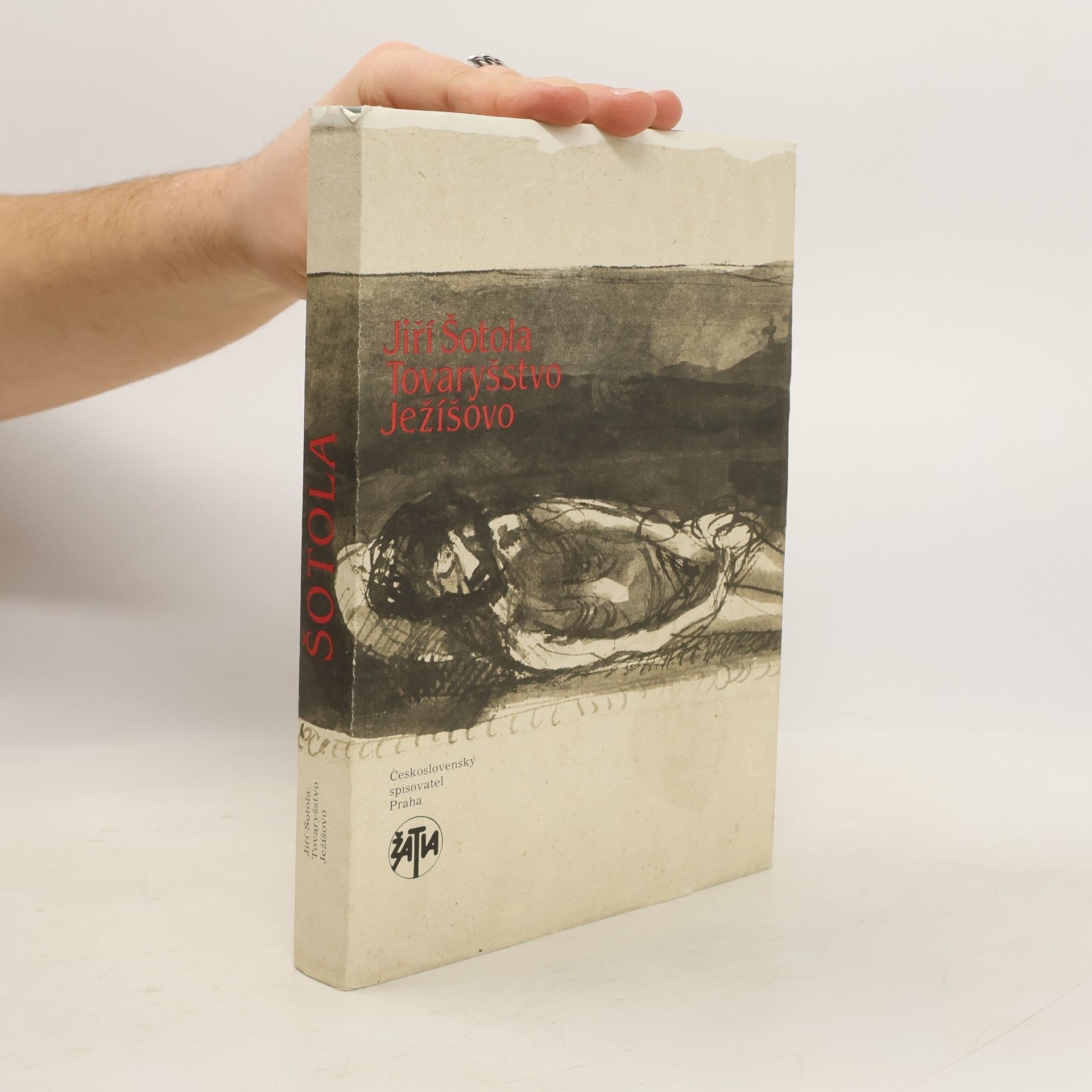 Tovaryšstvo Ježíšovo