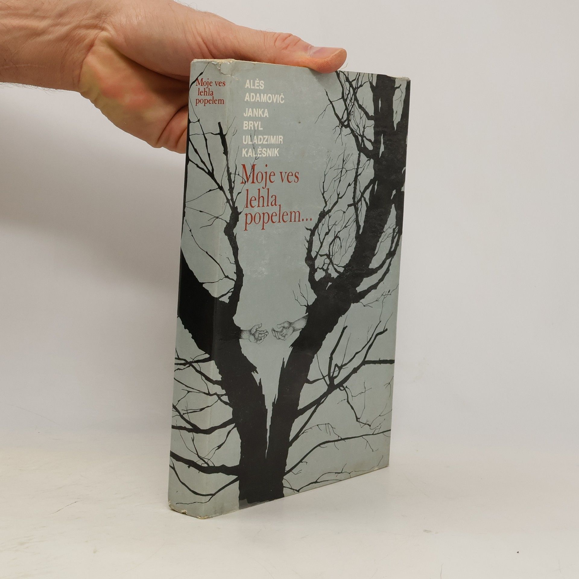 Moje ves lehla popelem...