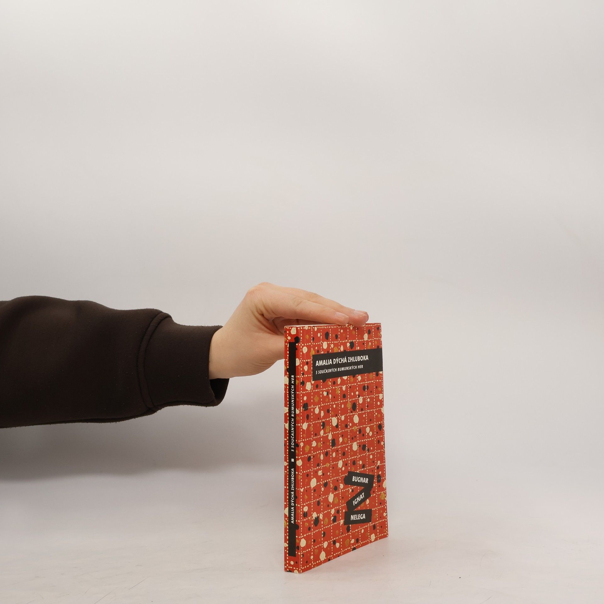 Alina Nelega Amalia dýchá zhluboka : 5 současných rumunských her