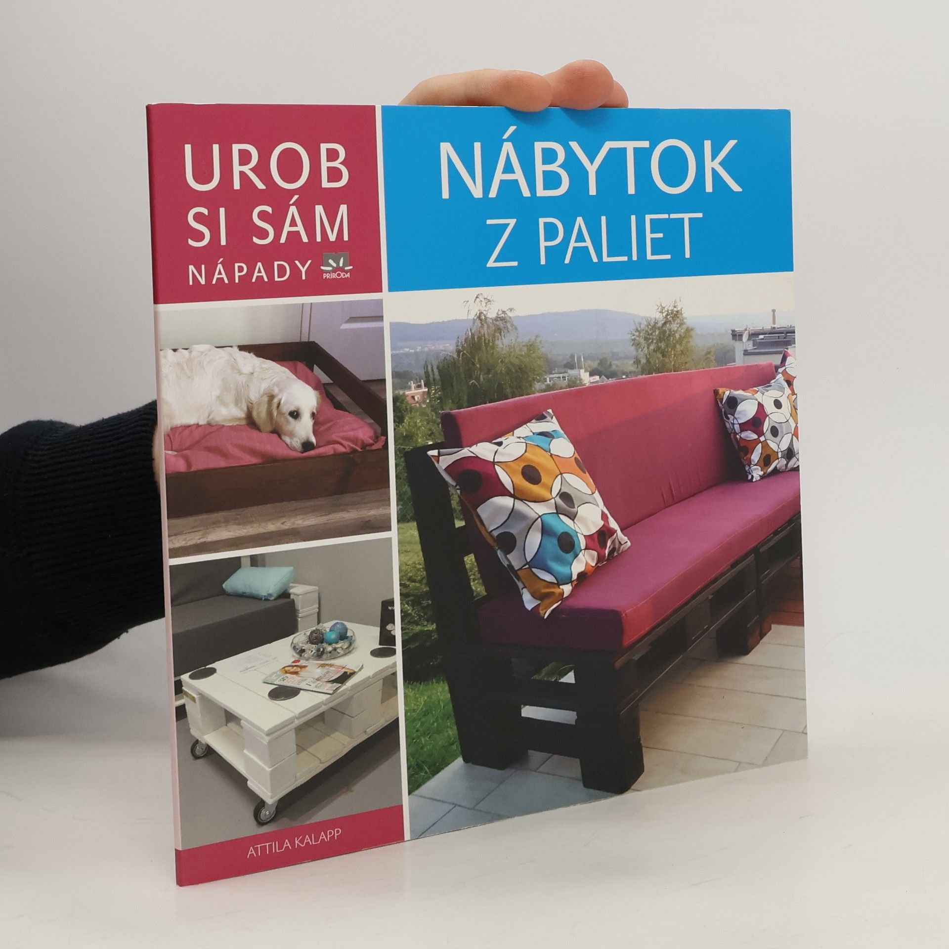 Kolektív autorov Urob si sám: nápady - nábytok z paliet