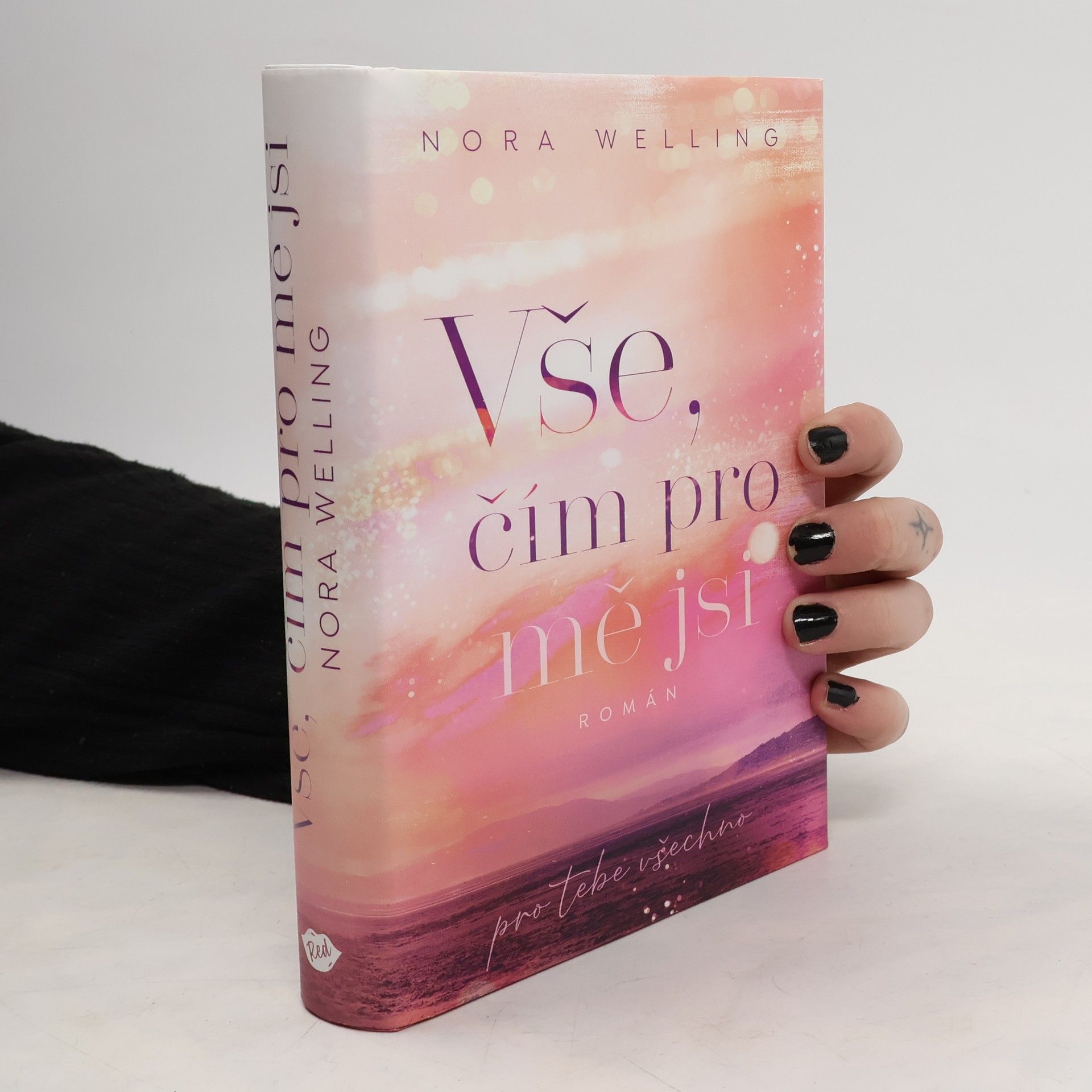 Nora Welling Vše, čím pro mě jsi