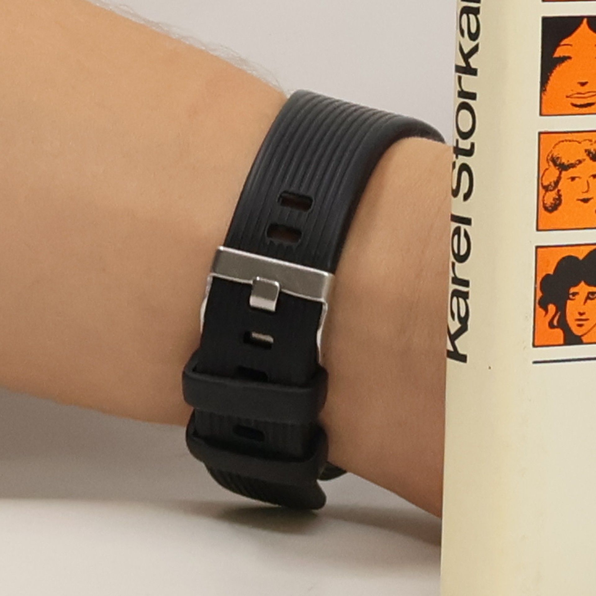 Karel Štorkán Kvočny a král