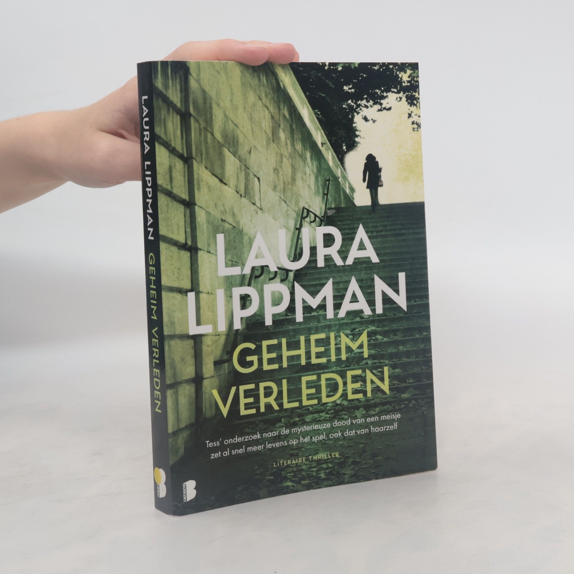 Ineke van Bronswijk Geheim verleden