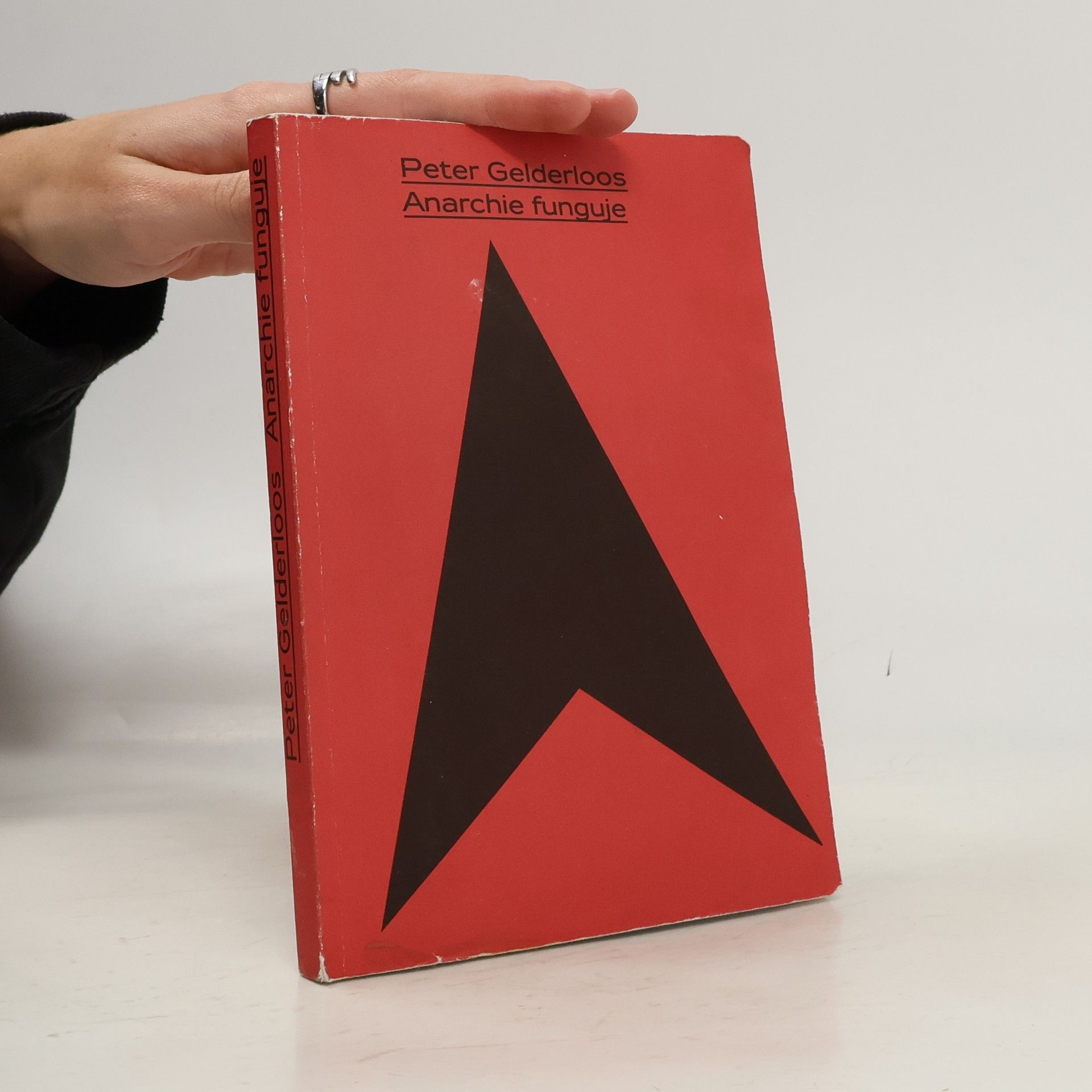 Peter Gelderloos Anarchie funguje: Příklady anarchistických myšlenek v praxi