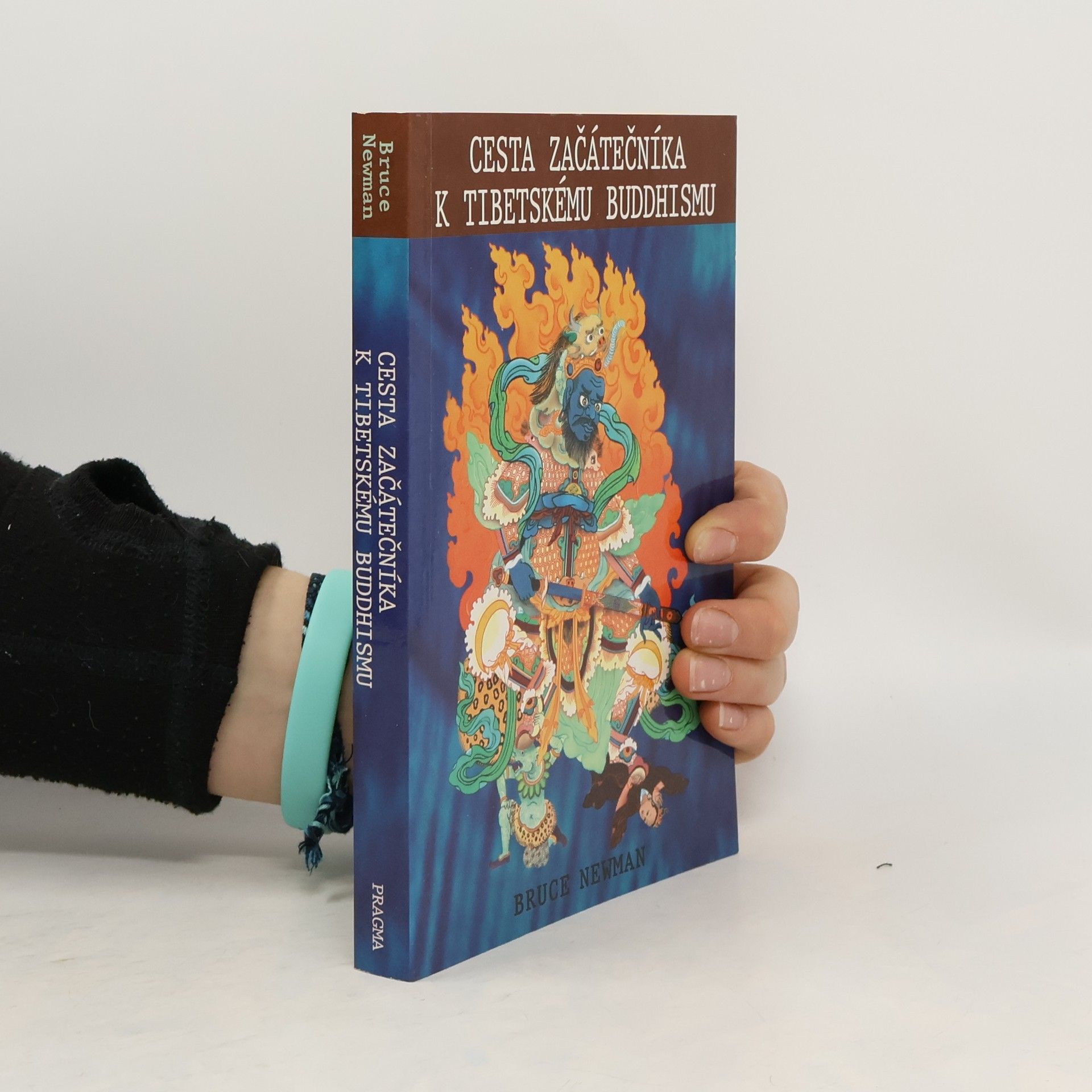 Josef Pecinovský Cesta začátečníka k tibetskému buddhismu. Zápisky z duchovní cesty