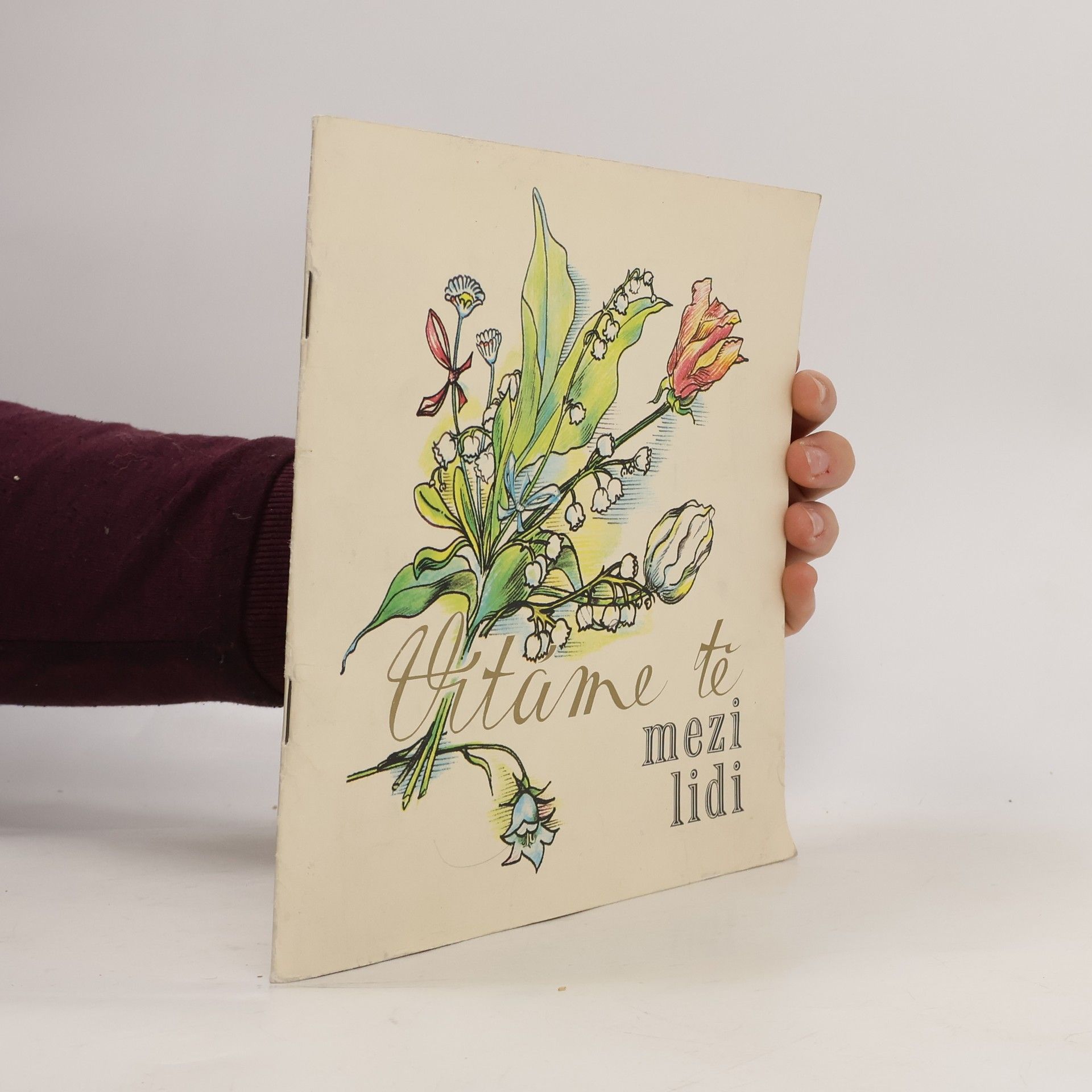 Collectif d'auteurs Vítáme tě mezi lidi