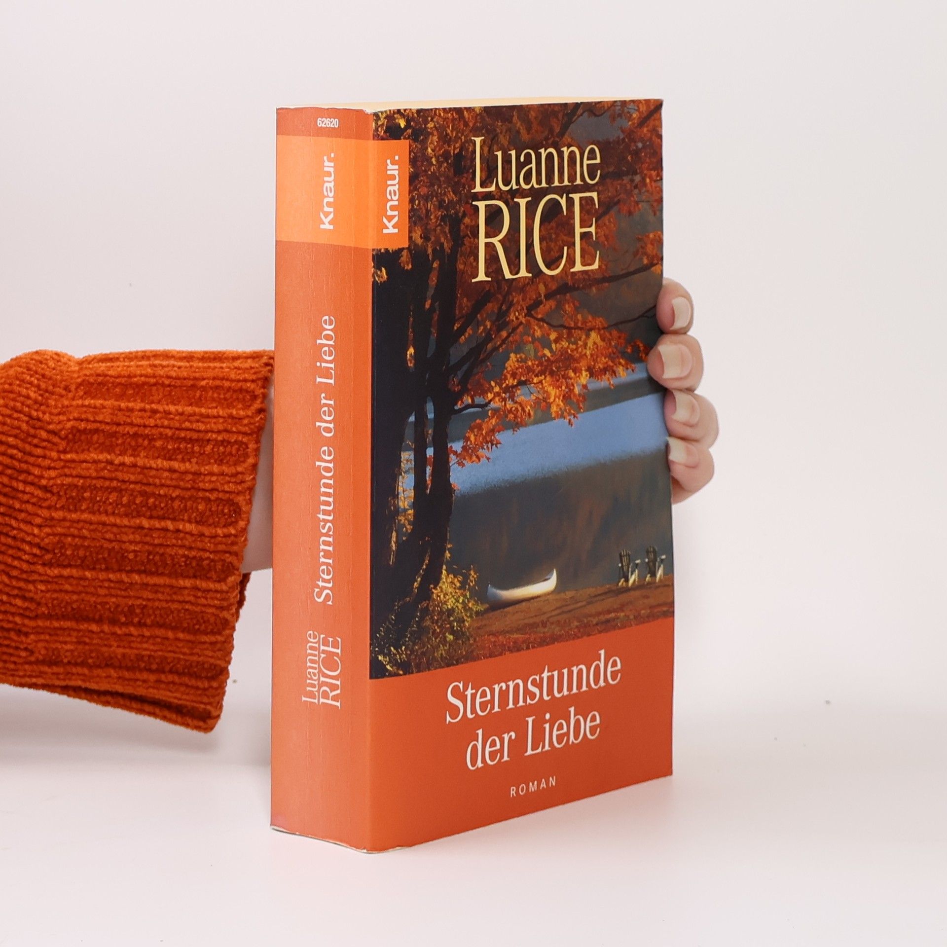 Luanne Rice Sternstunde der Liebe