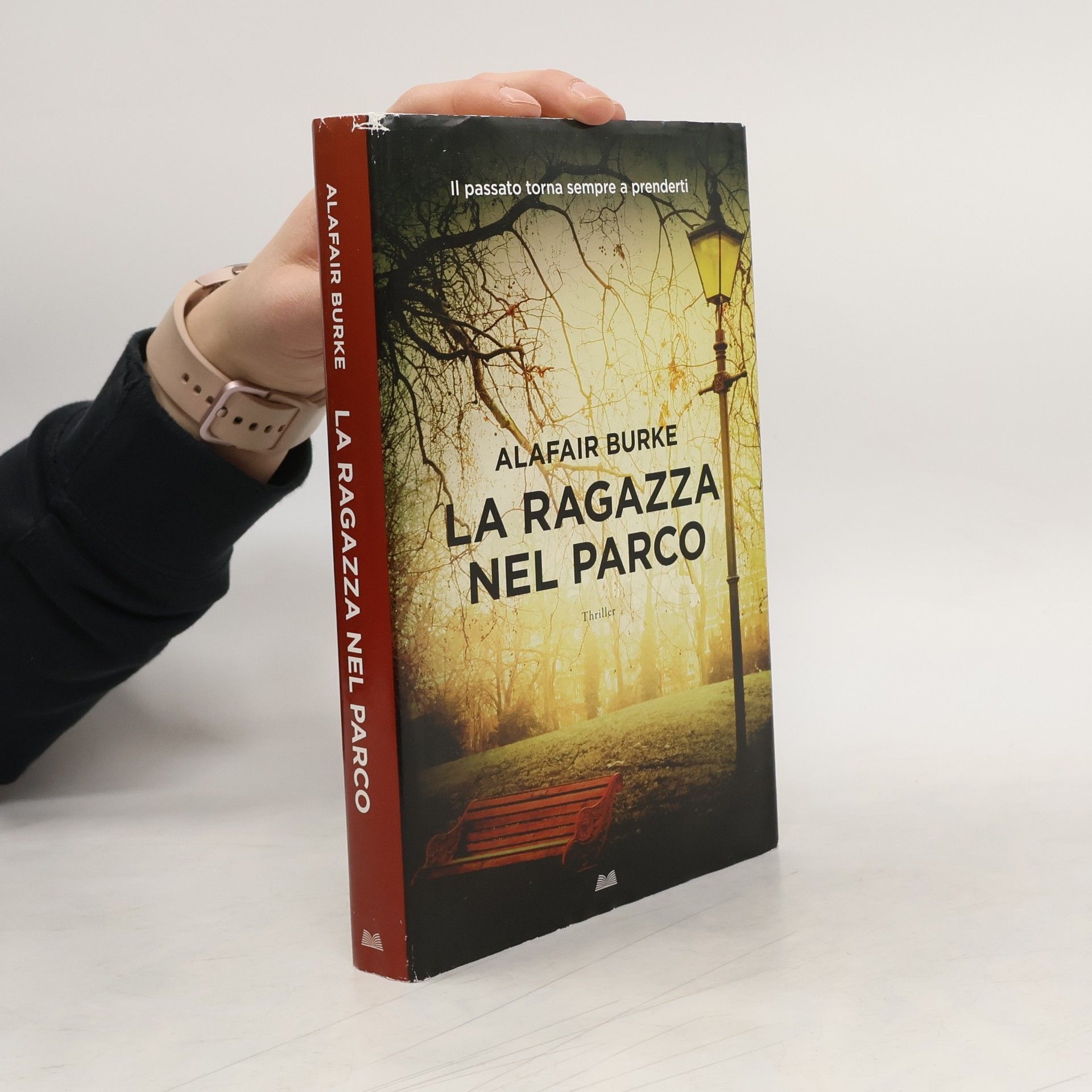 Alafair Burke La ragazza nel parco