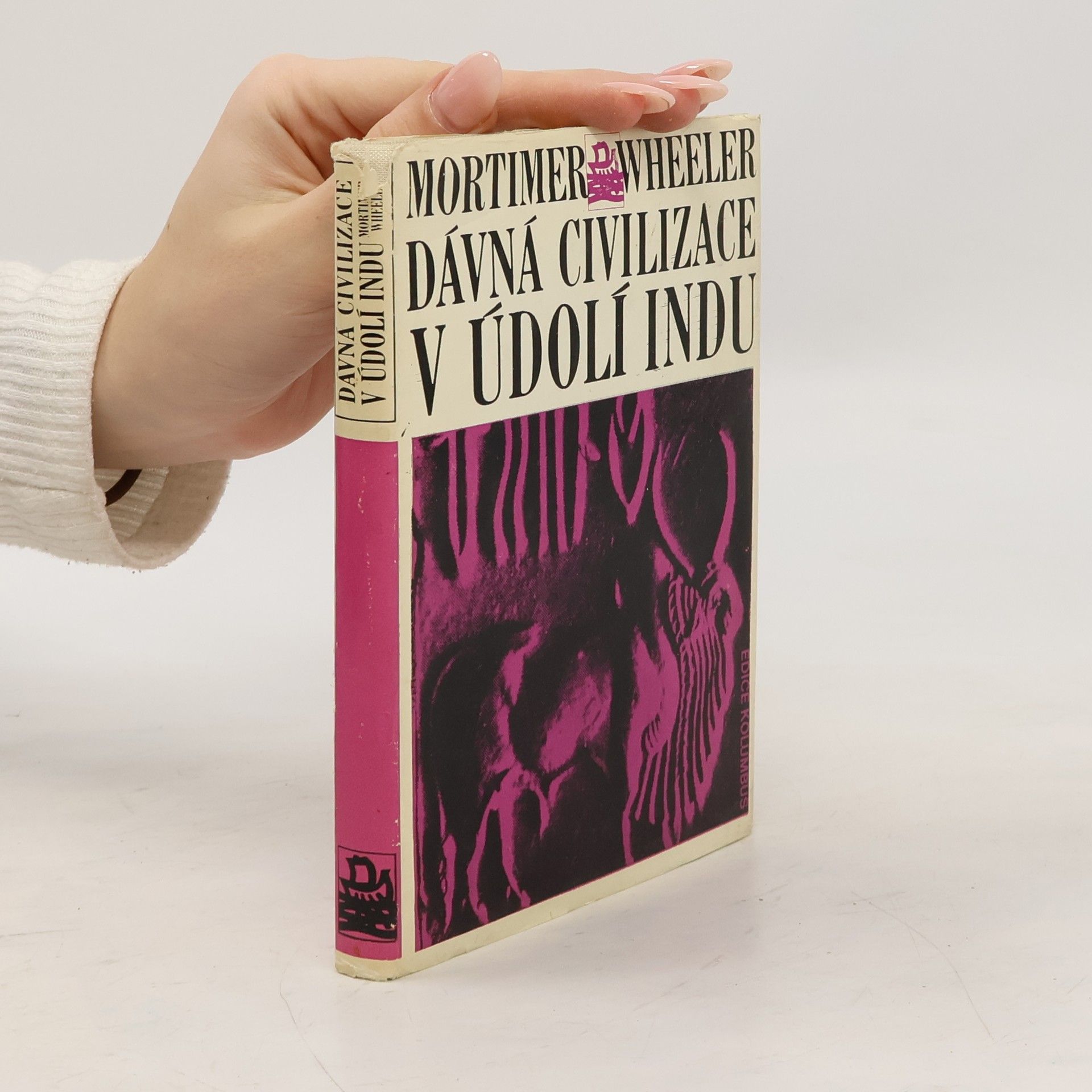 Dávná civilizace v údolí Indu