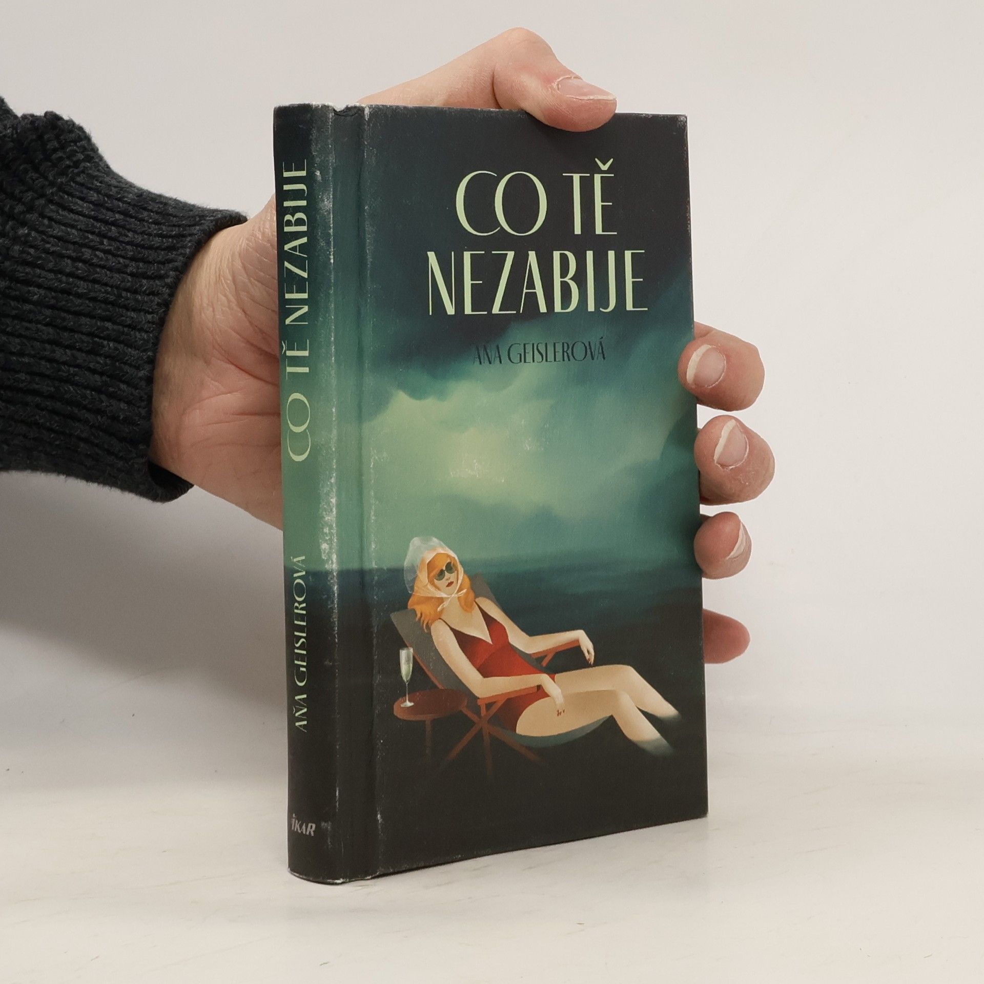 Anna Geislerová Co tě nezabije