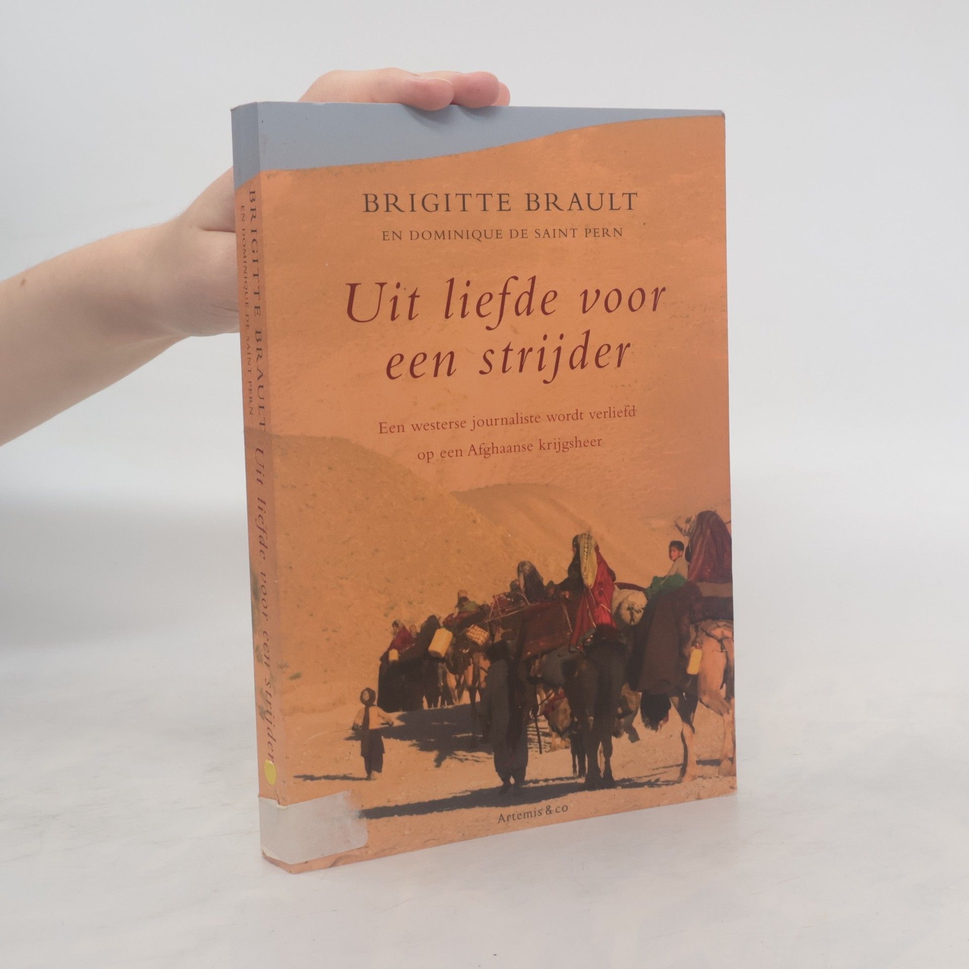 Brigitte Brault Uit liefde voor een strijder
