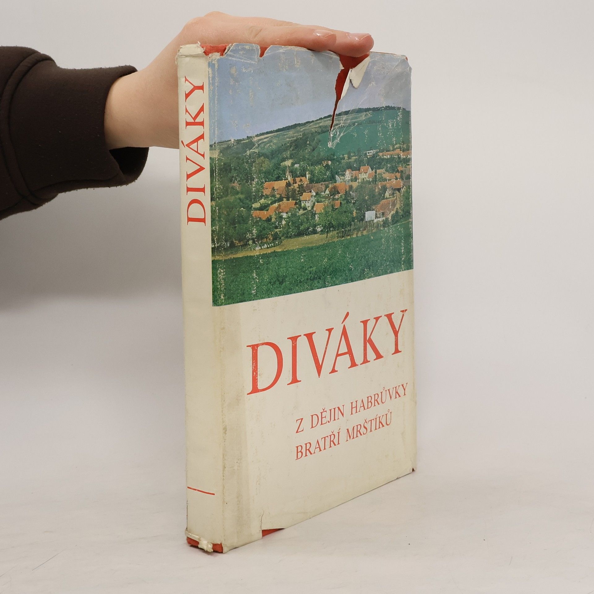 Collectif d'auteurs Diváky. Z dějin Habrůvky bratří Mrštíků