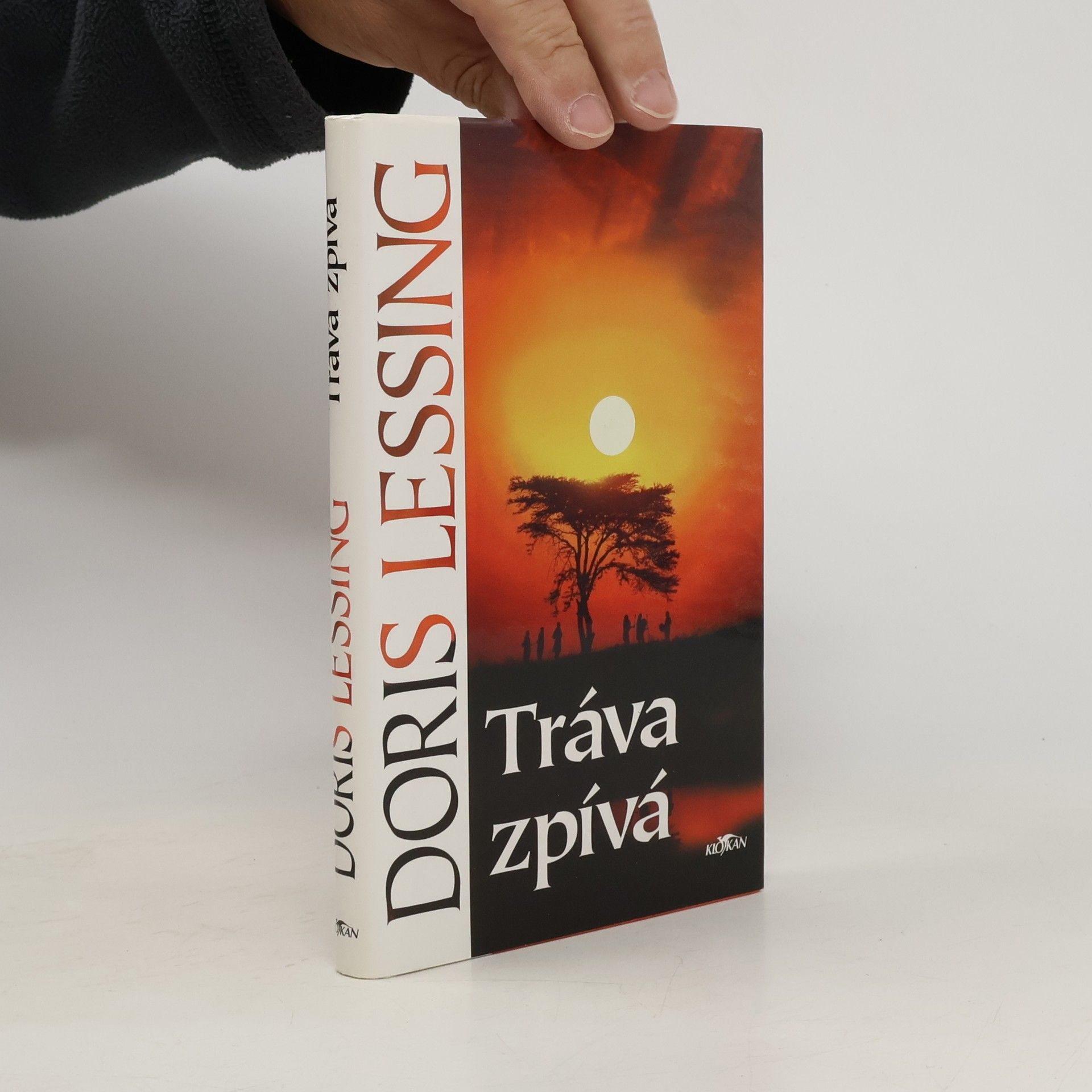 Doris May Lessing Tráva zpívá