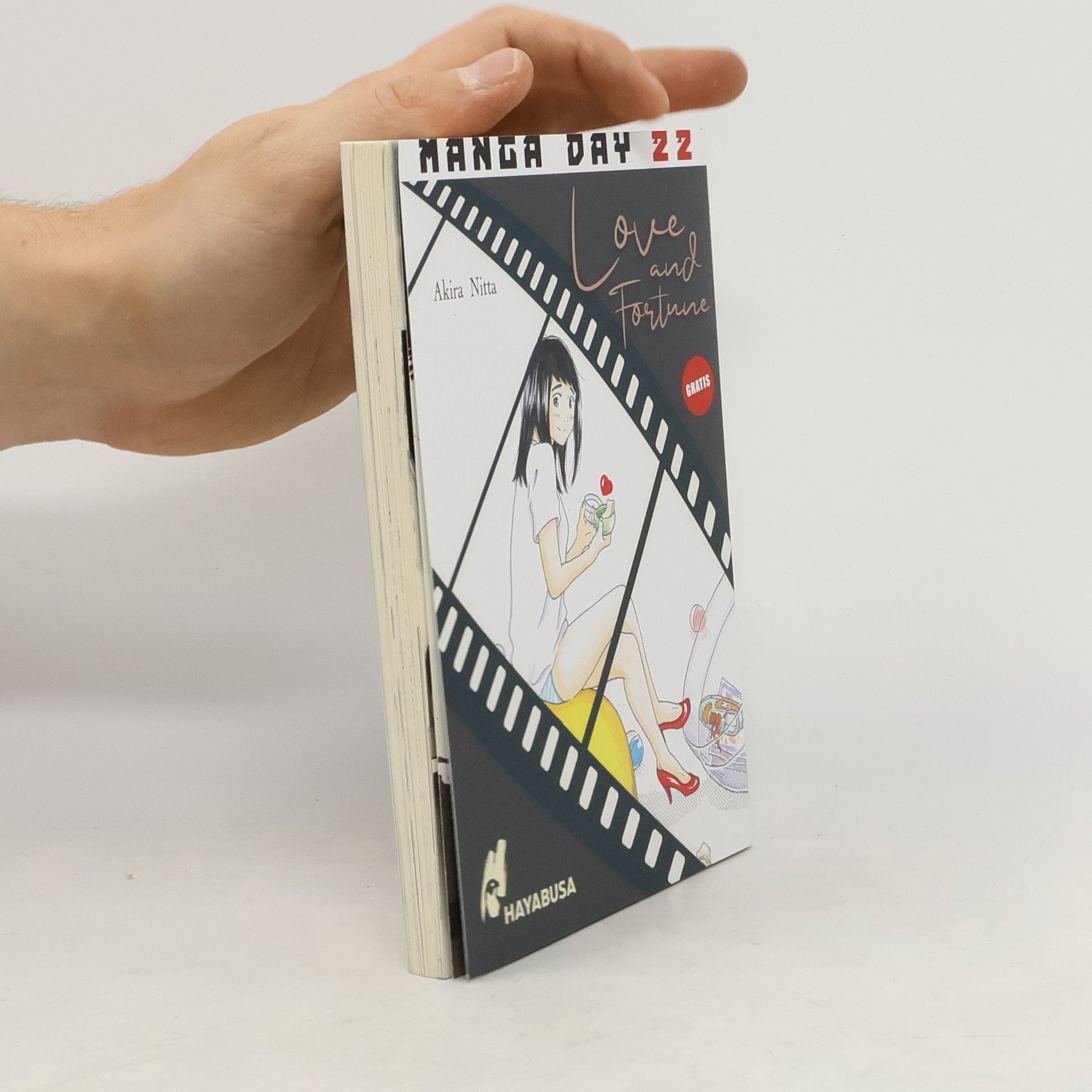 Akira Nitta Manga Day 22. Love and Fortune