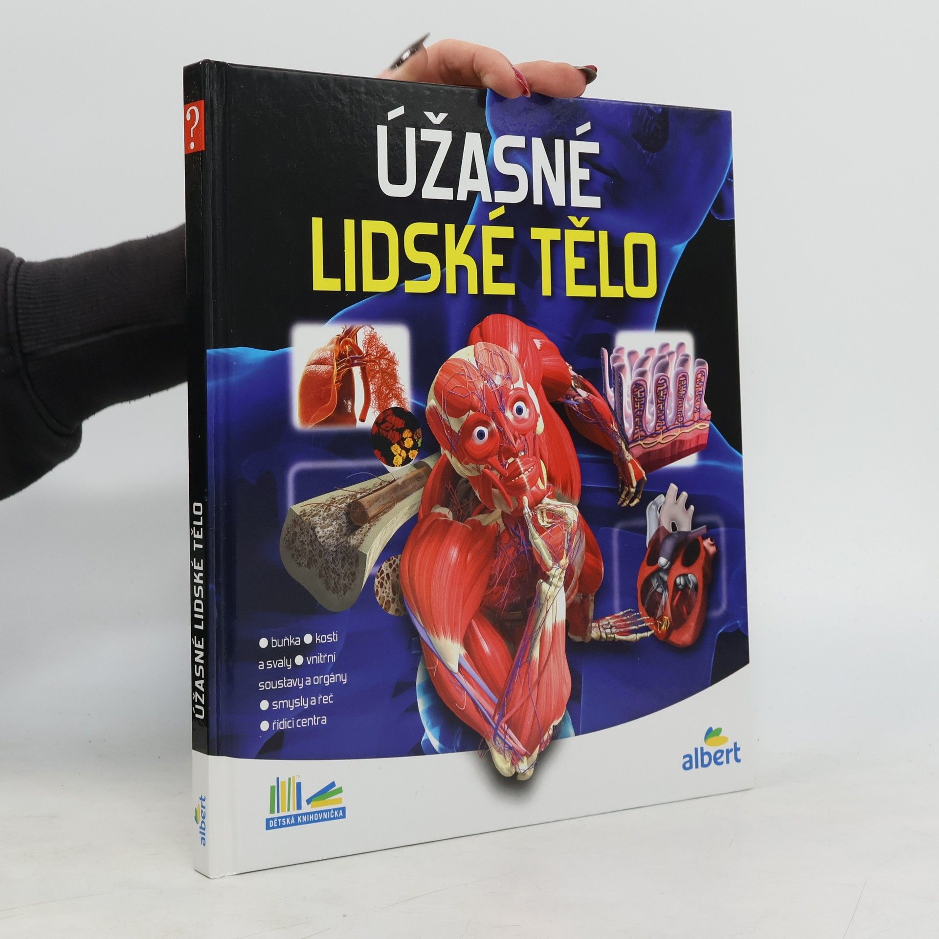 Autorenkollektiv Úžasné lidské tělo - Jak to funguje?
