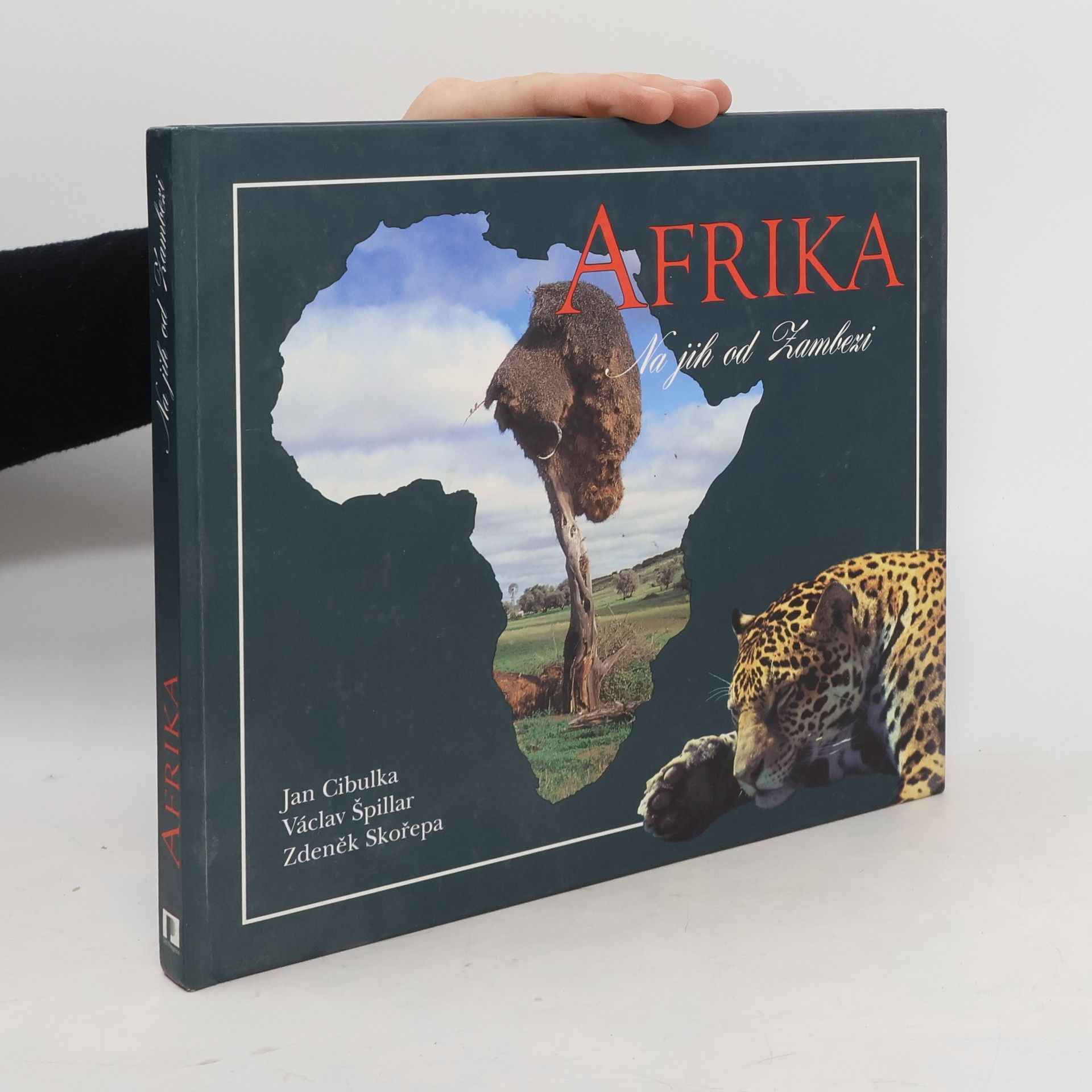 Afrika. Na jih od Zambezi