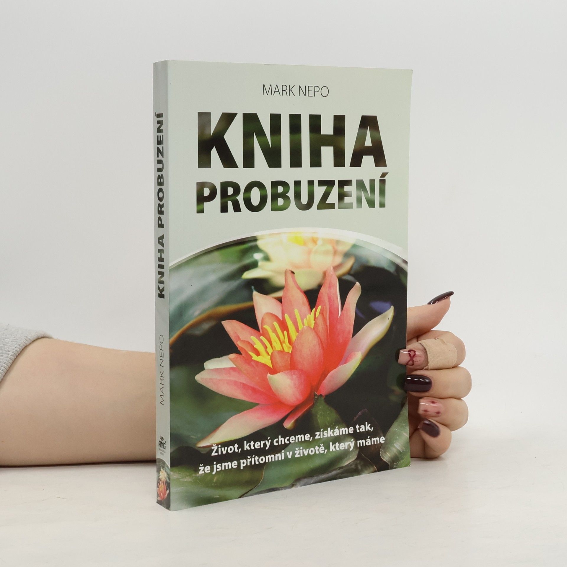 Mark Nepo Kniha probuzení : život, který chceme, získáme tak, že jsme přítomni v životě, který máme