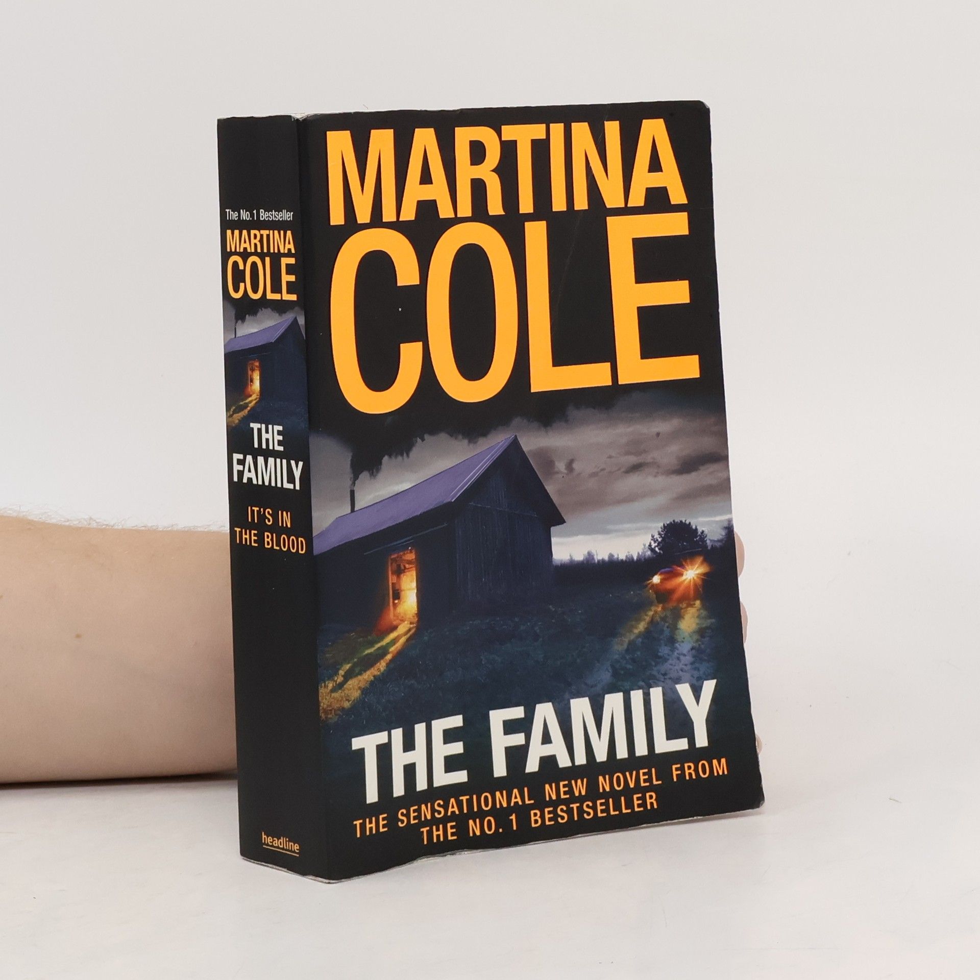 Martina Cole The Family