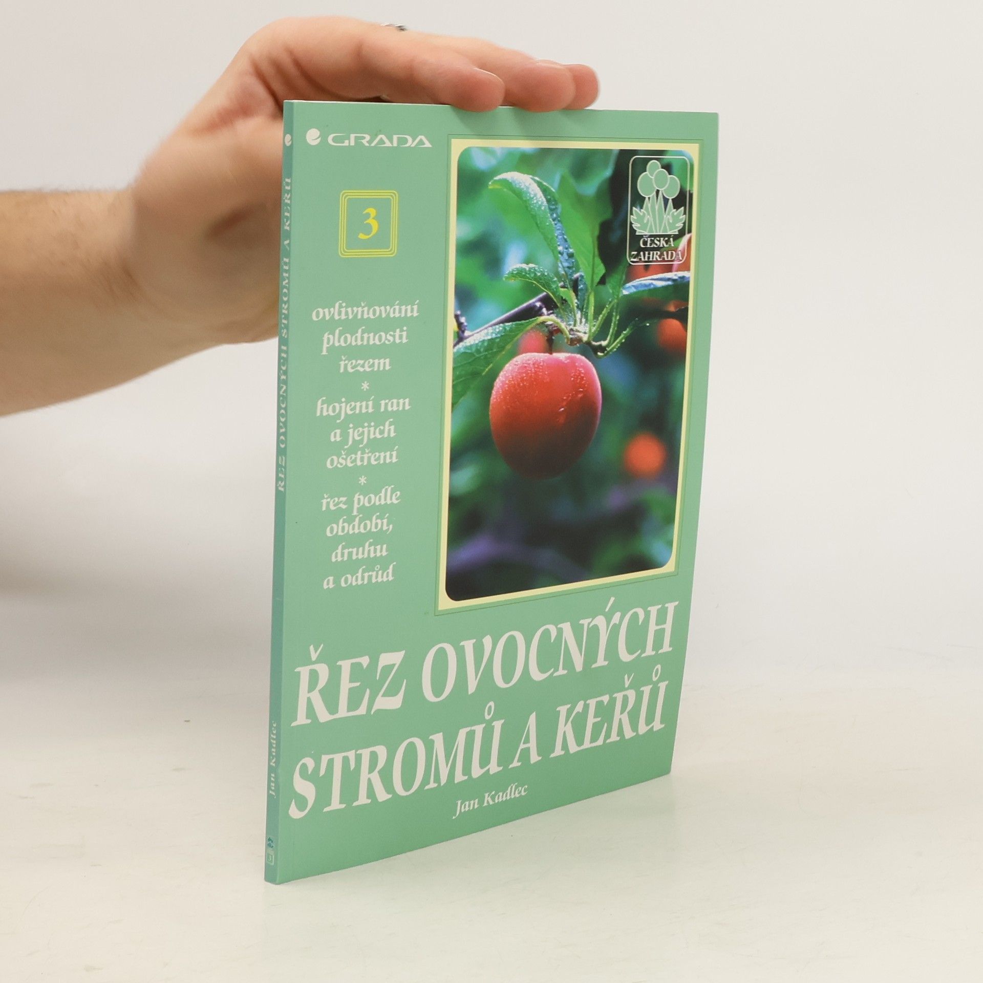 Řez ovocných stromů a keřů