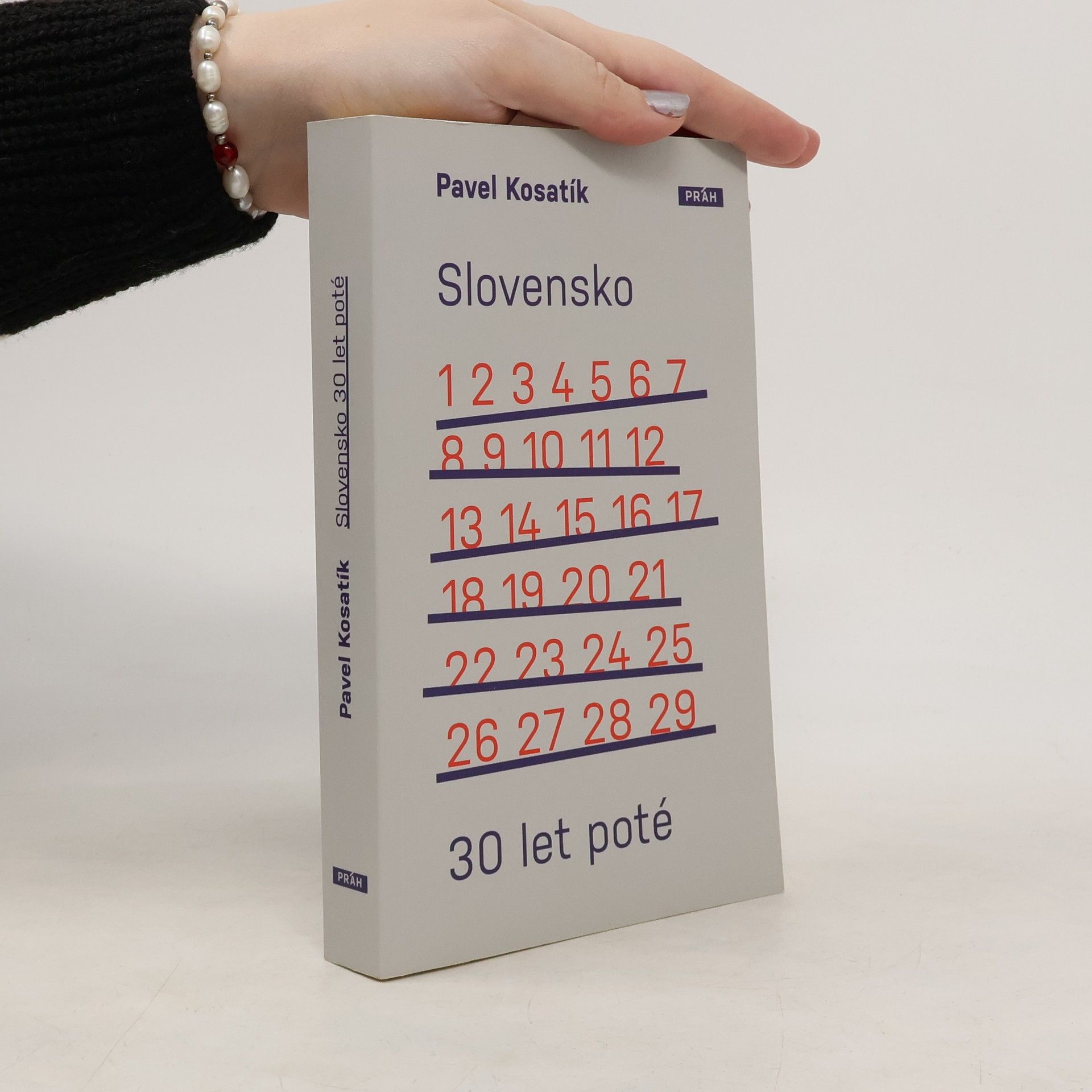 Pavel Kosatík Slovensko třicet let poté