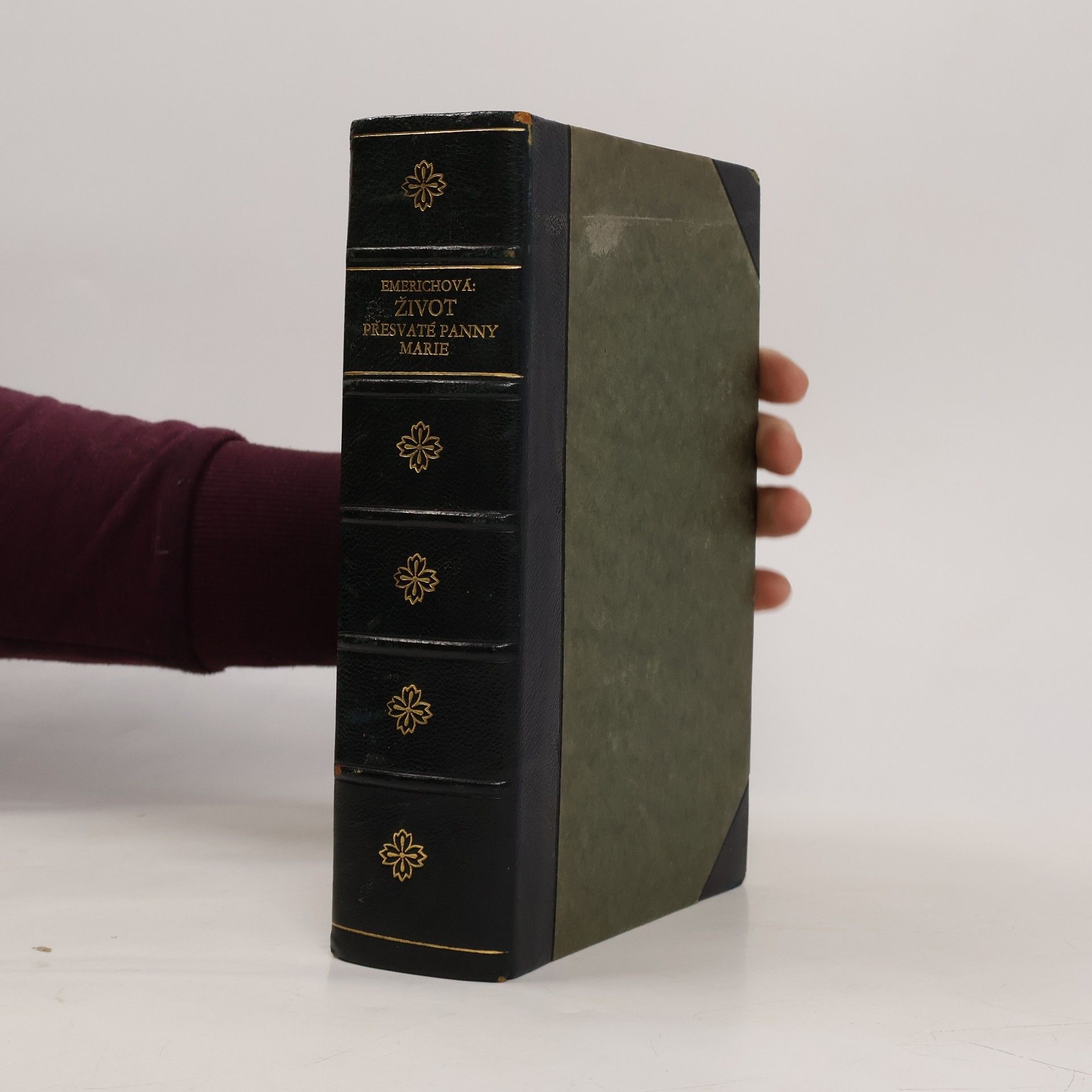 Anna Katharina Emmerich Život přesvaté panny Marie