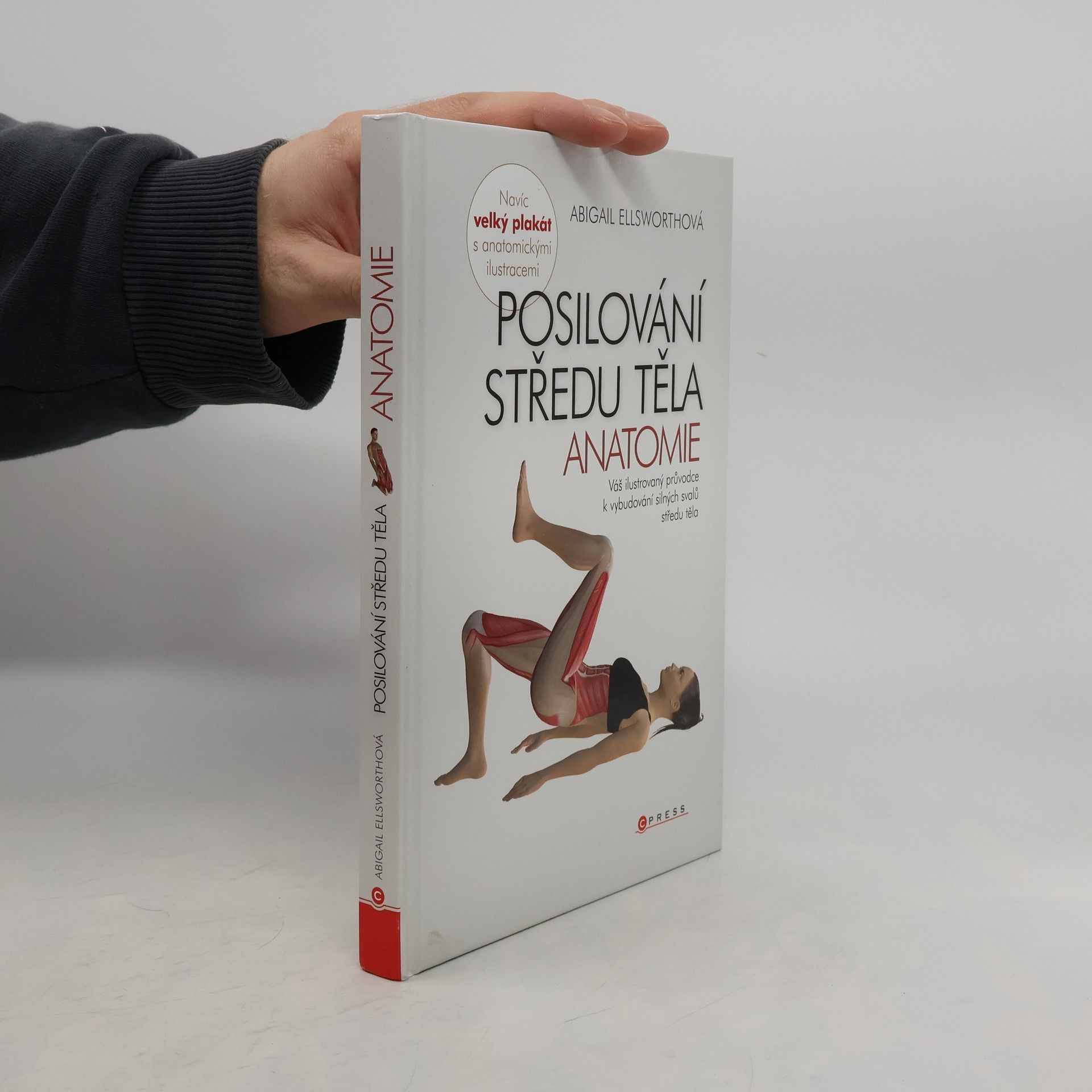 Abby Ellsworth Posilování středu těla - anatomie