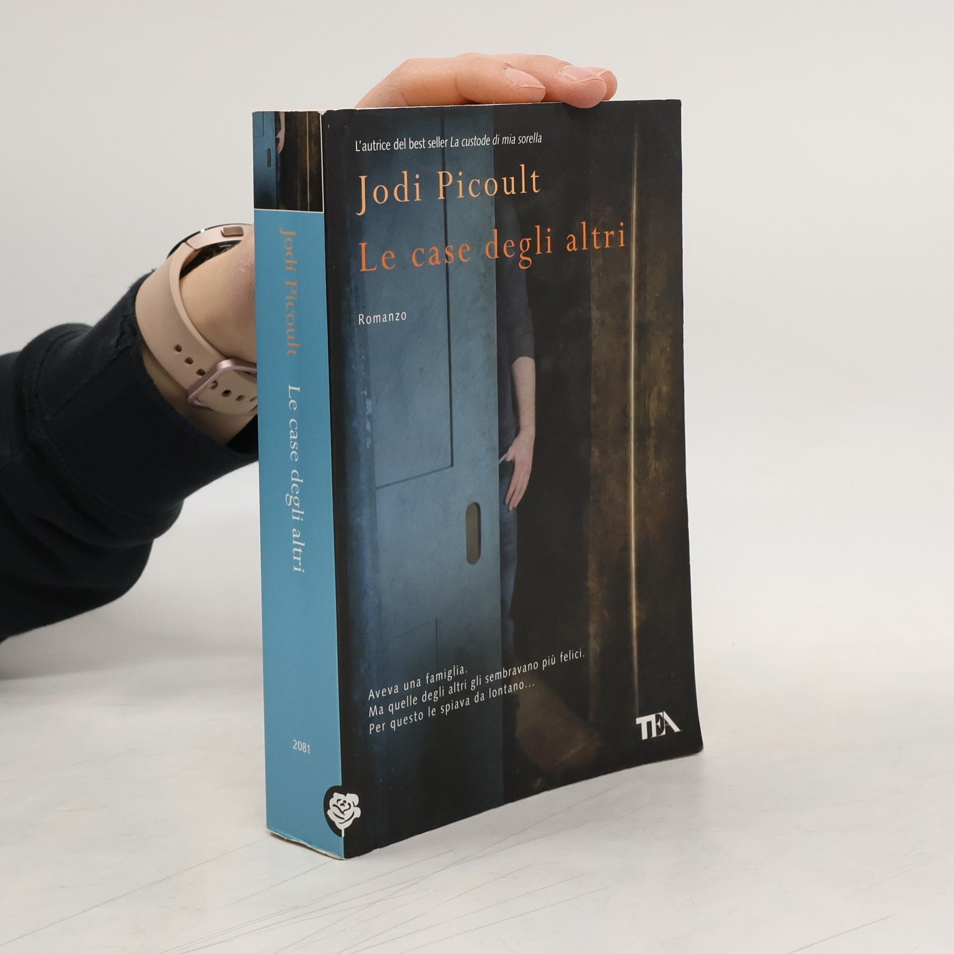 Jodi Picoult Le case degli altri