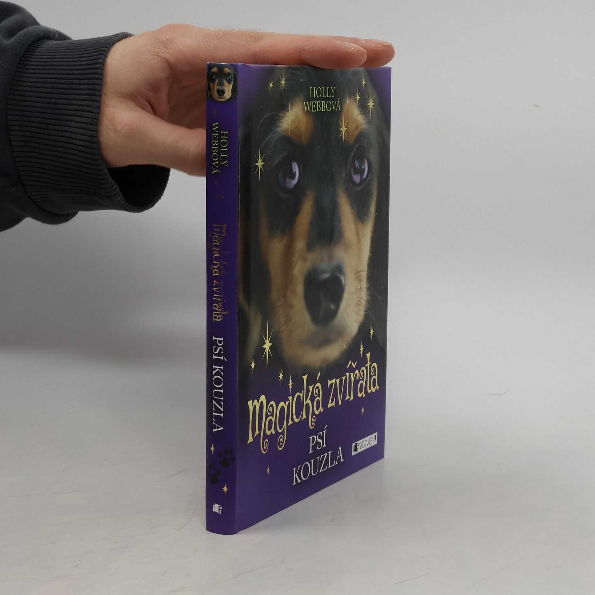 Holly Webb Magická zvířata. Psí kouzla