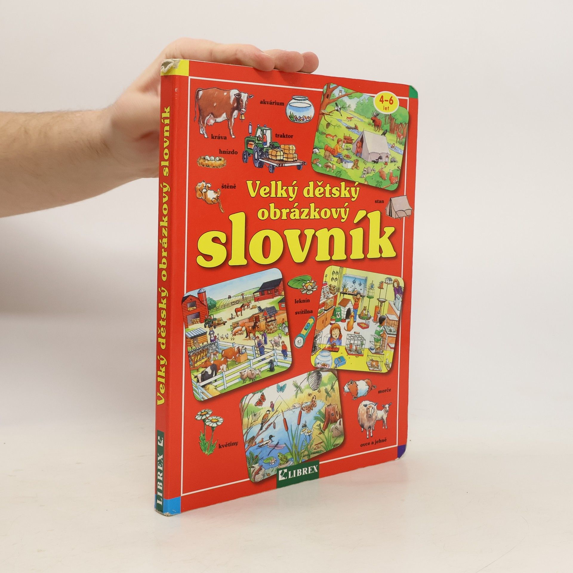 Auteurscollectief Velký dětský obrázkový slovník