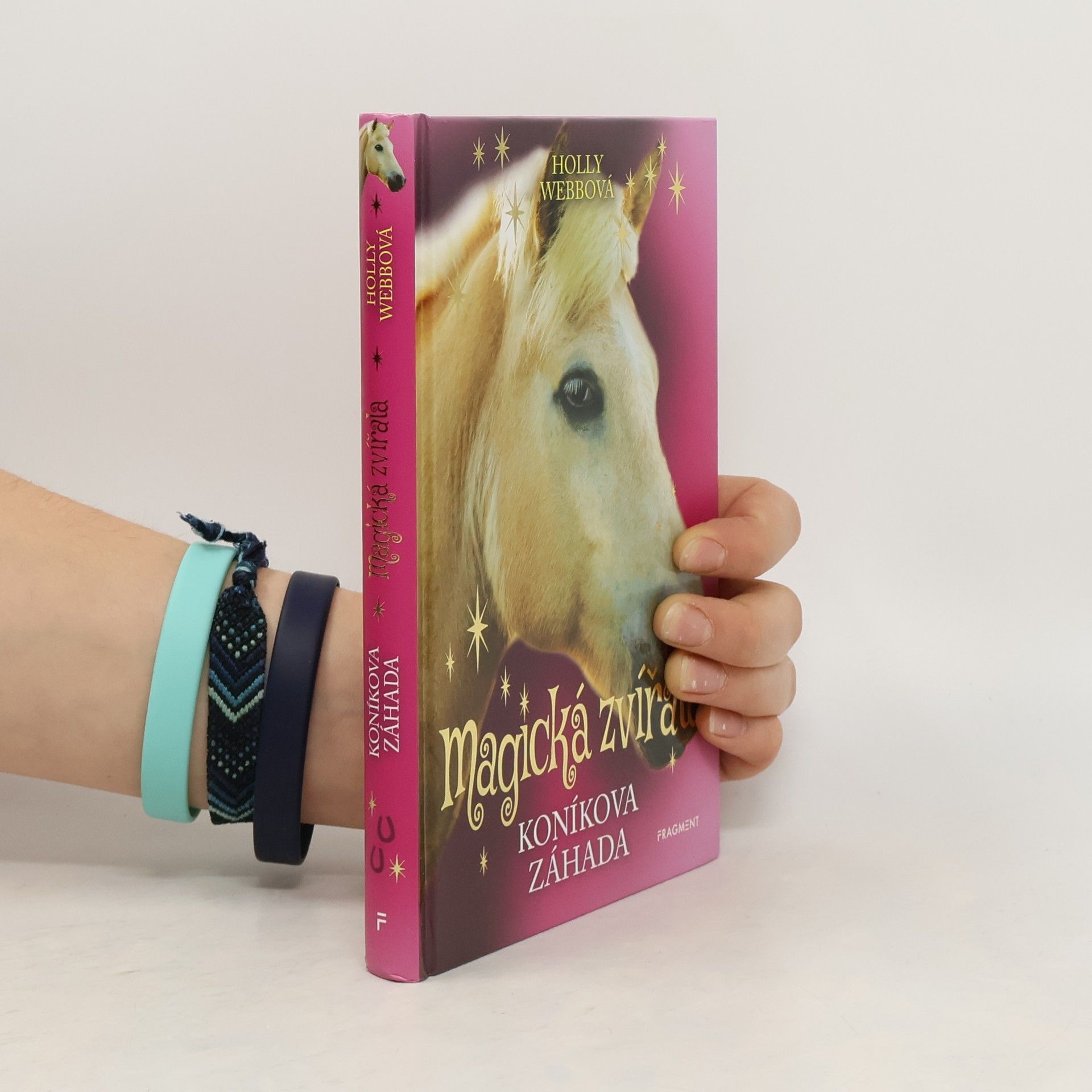 Holly Webb Koníkova záhada