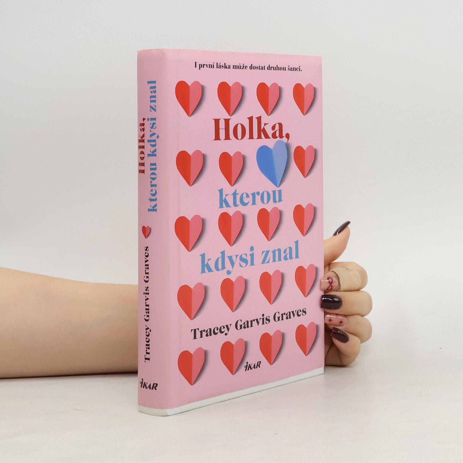 Tracey Garvis Graves Holka, kterou kdysi znal
