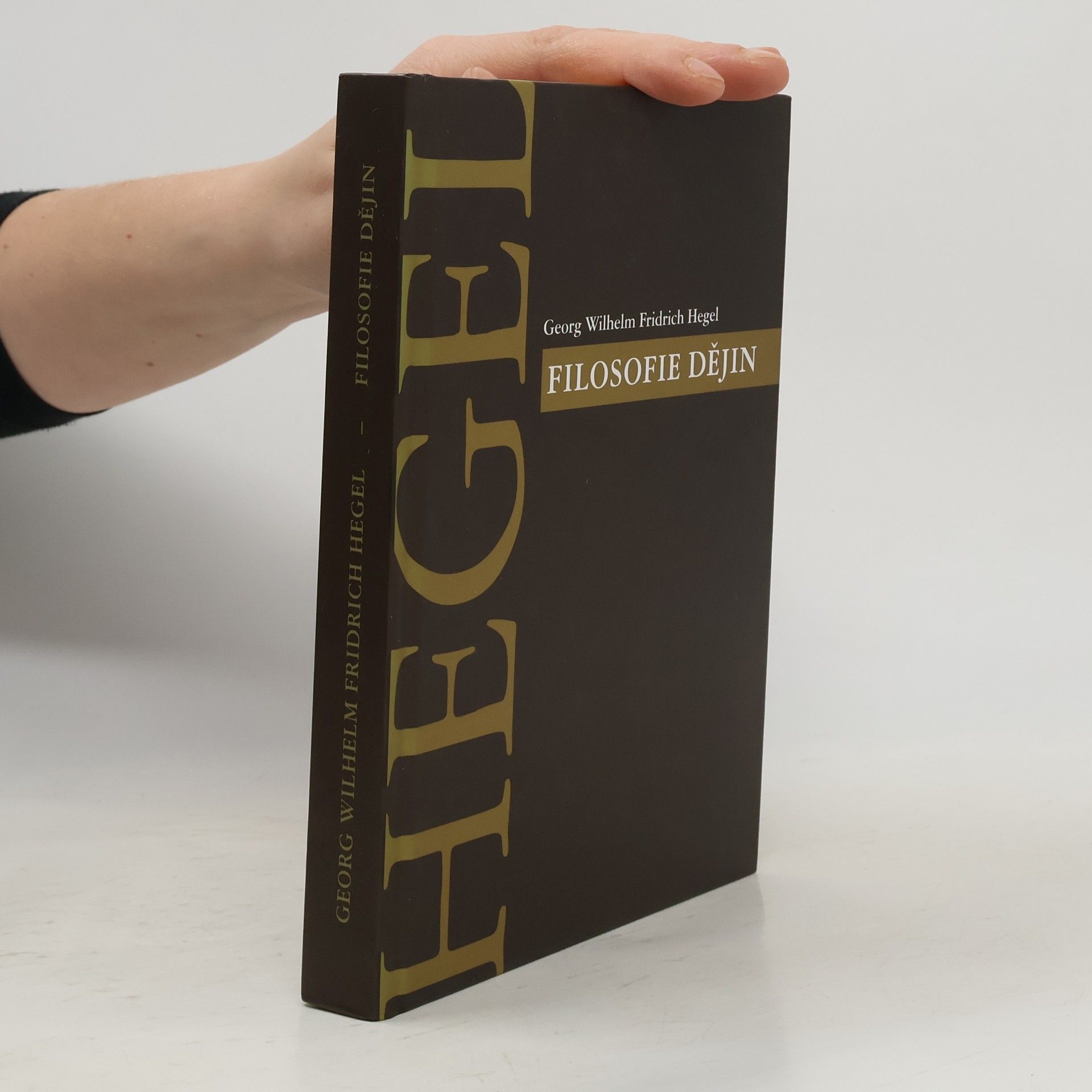 Georg Wilhelm Friedrich Hegel Filosofie dějin
