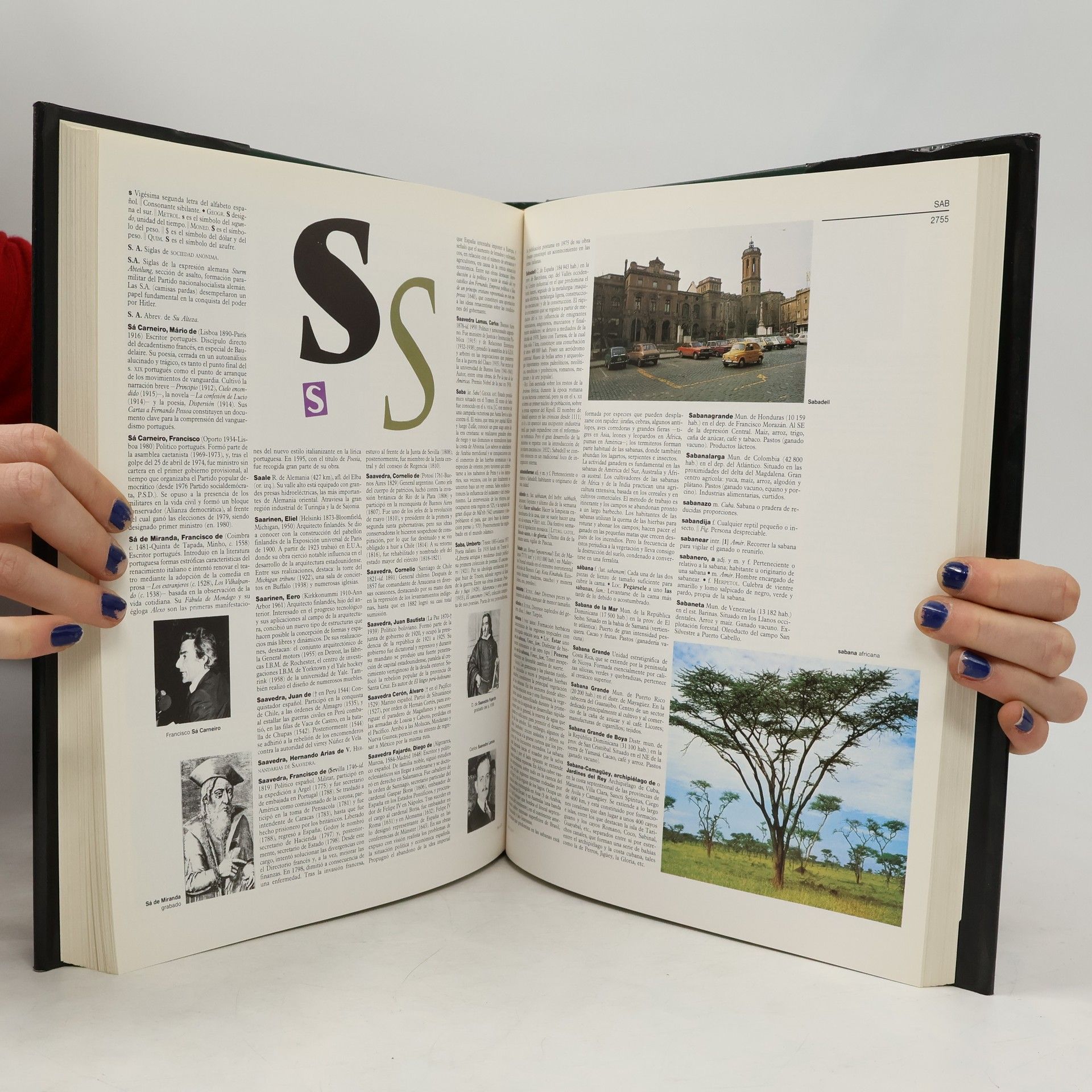 Editorial Planeta Diccionario enciclopédico Larousse