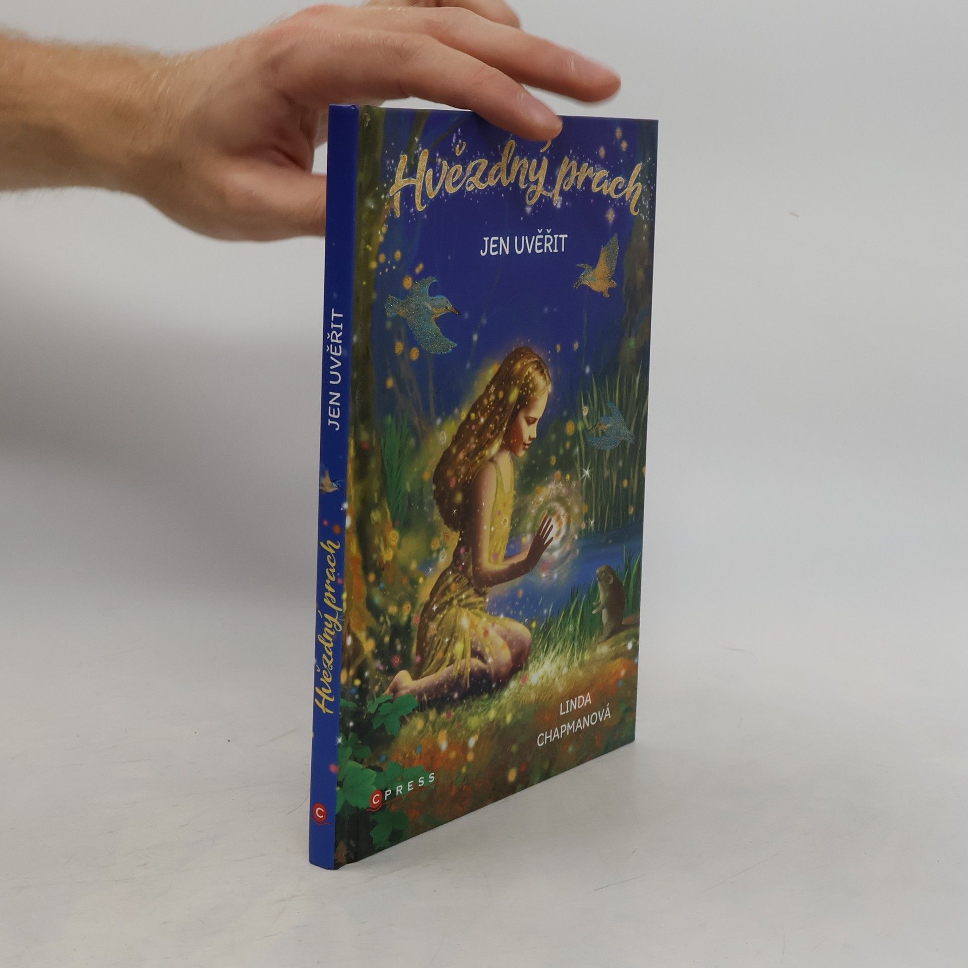 Linda Chapman Jen uvěřit