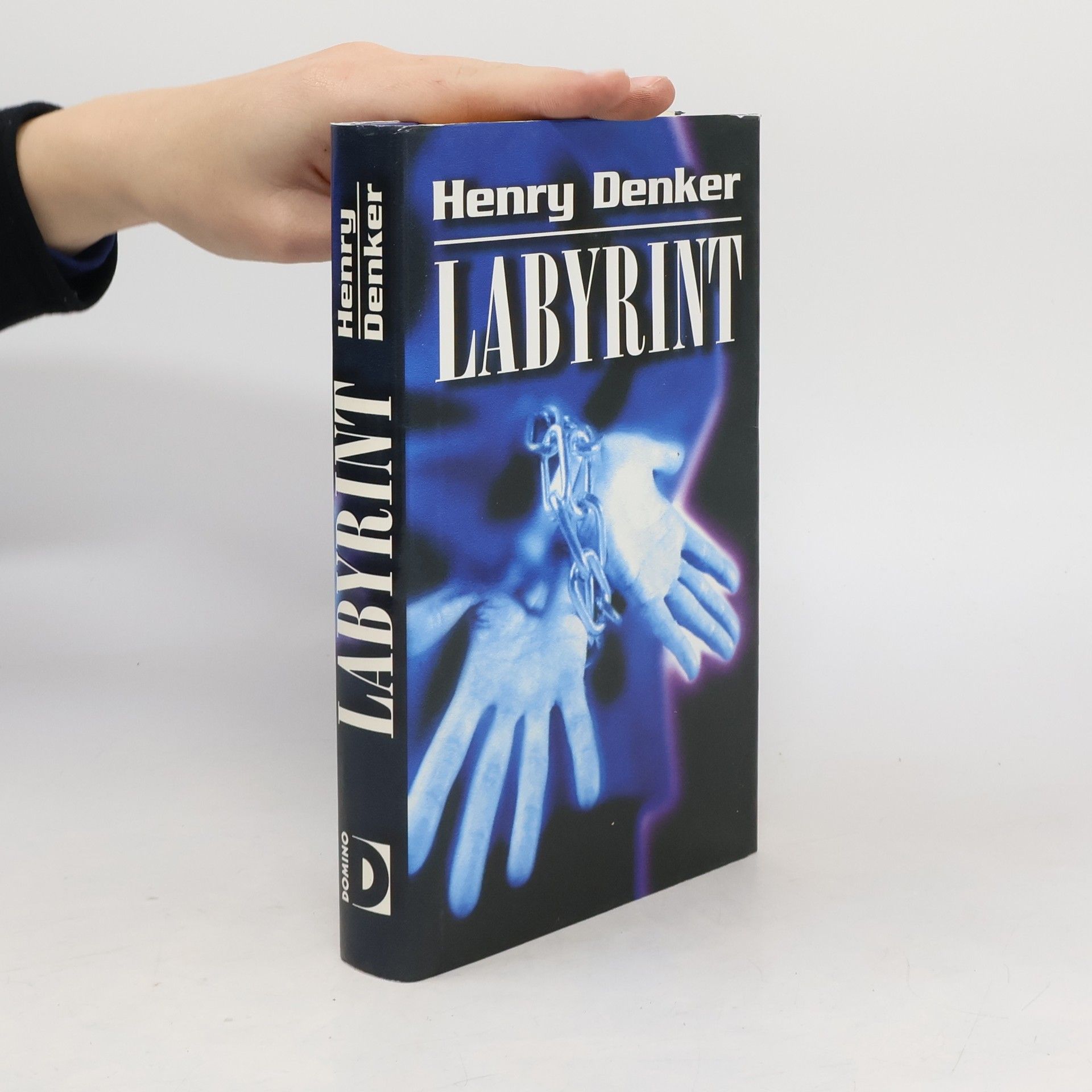 Henry Denker Labyrint