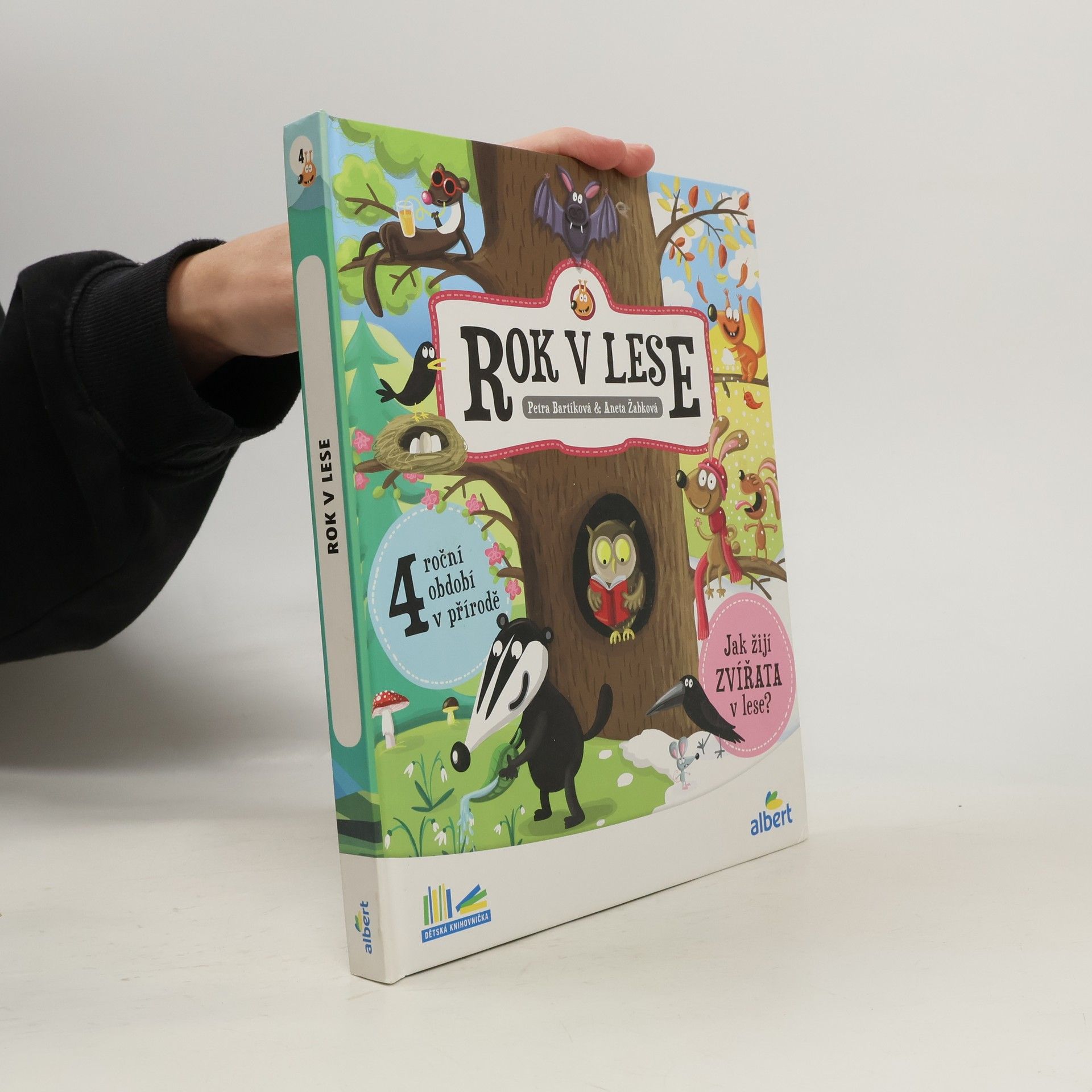 Kolektiv autorů Rok v lese