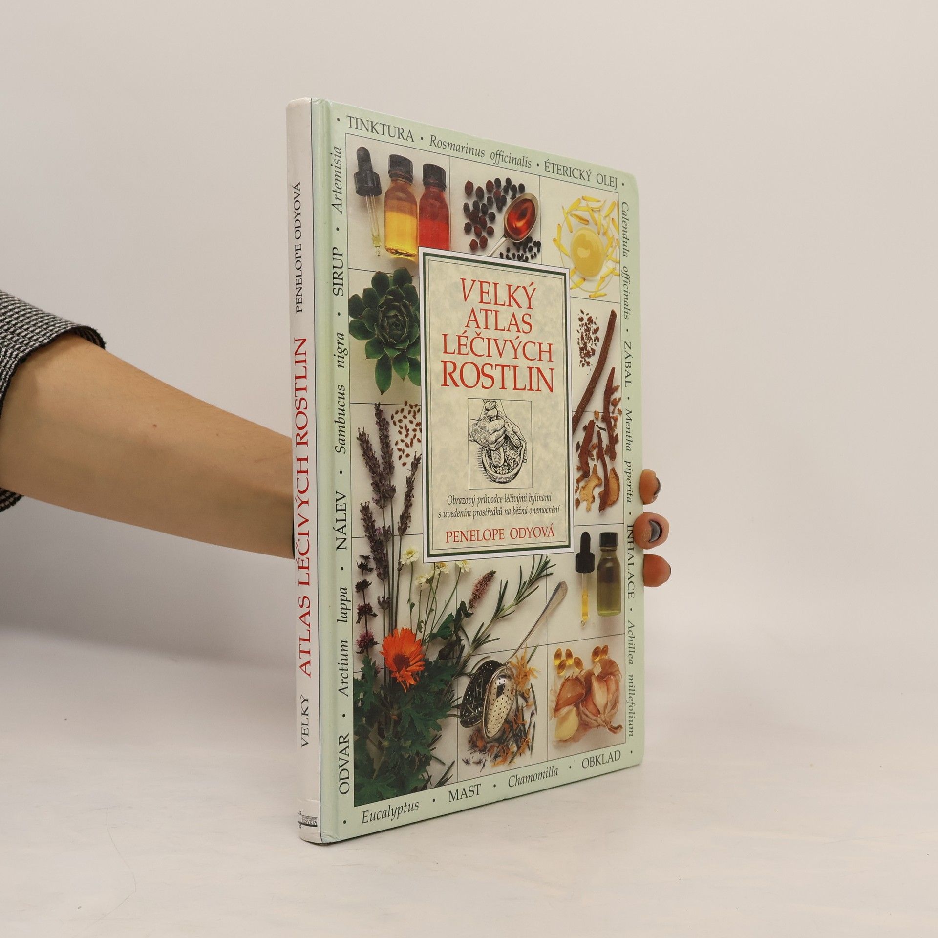 Velký atlas léčivých rostlin