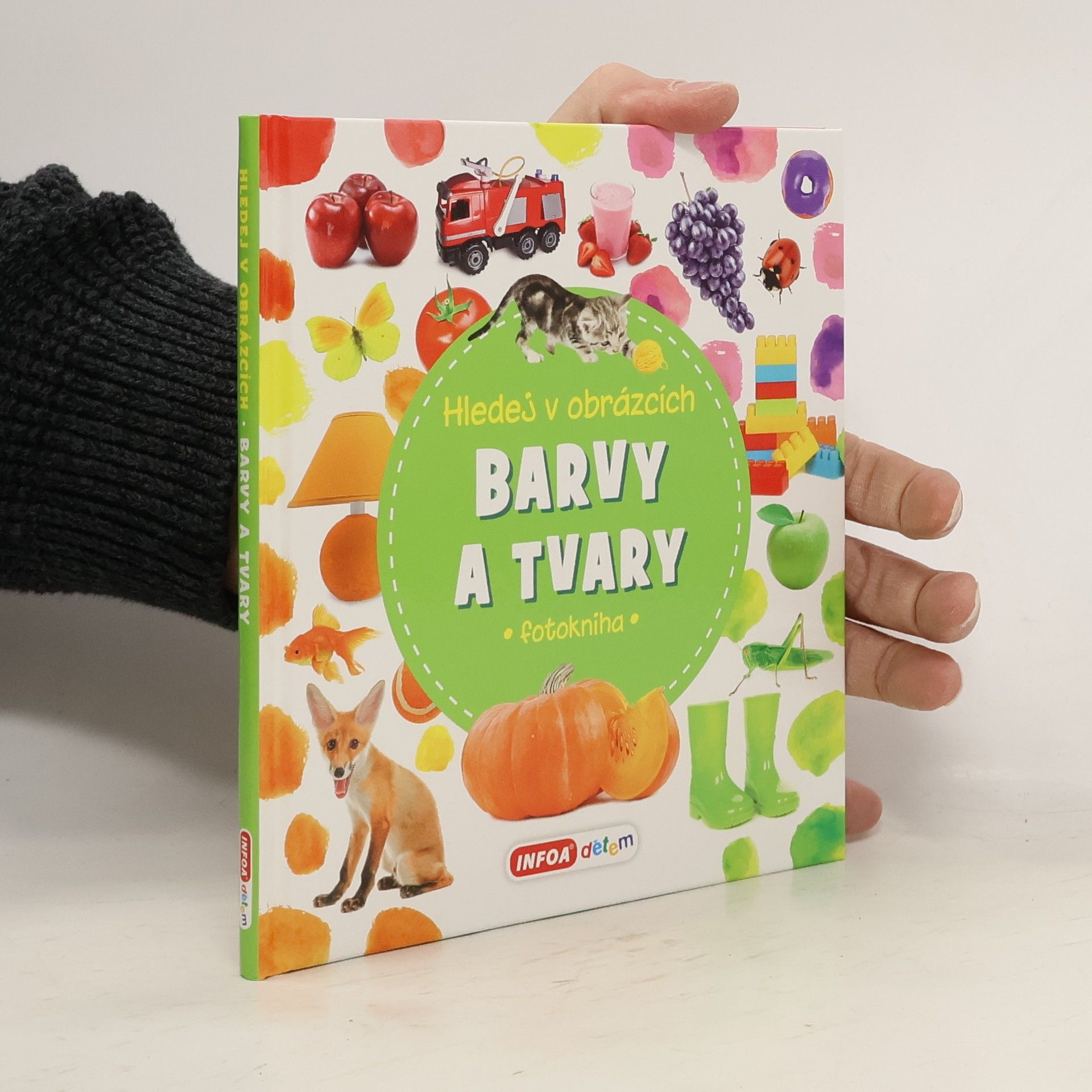 Kolektiv autorů Hledej v obrázcích Barvy a tvary