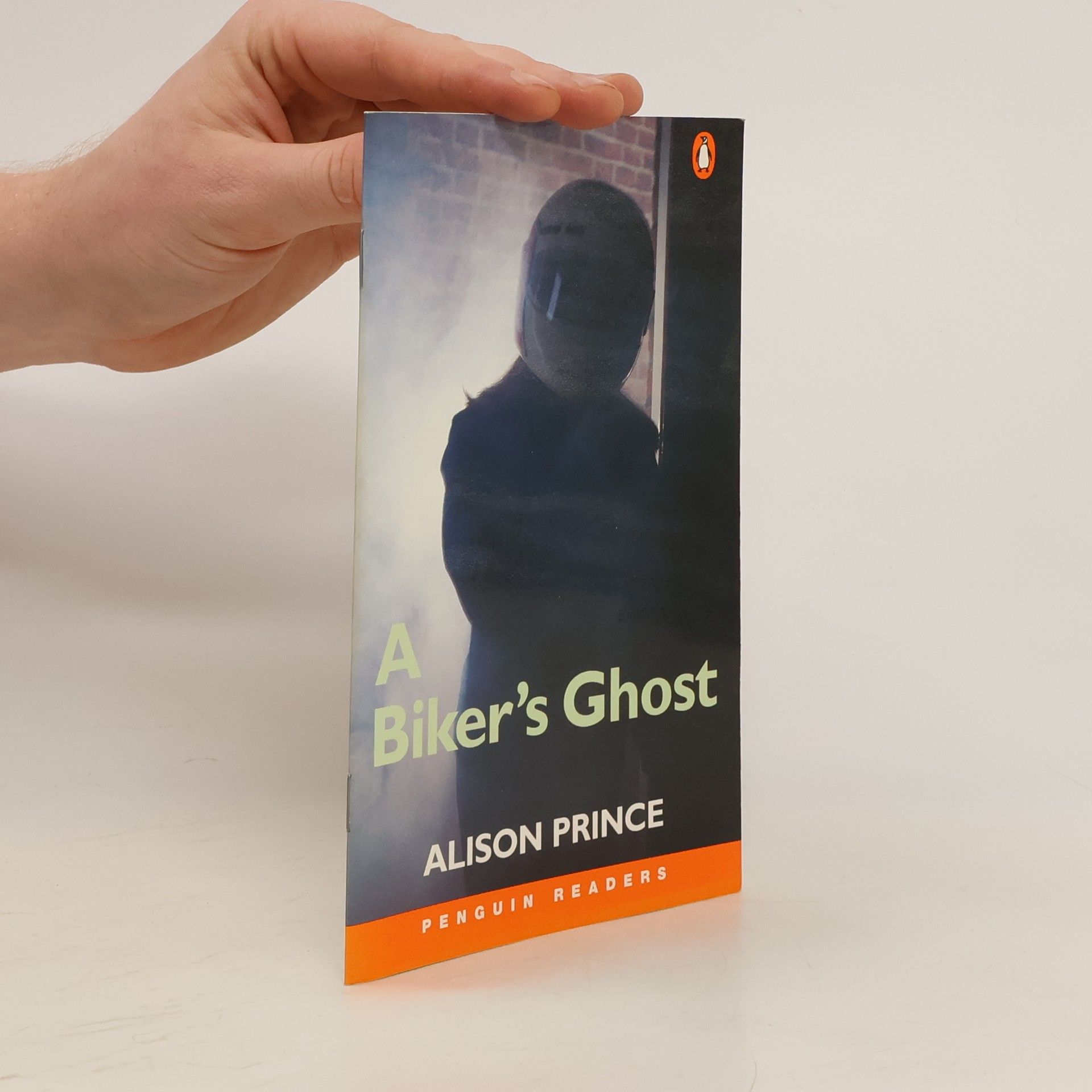 Alison Prince The Biker's Ghost