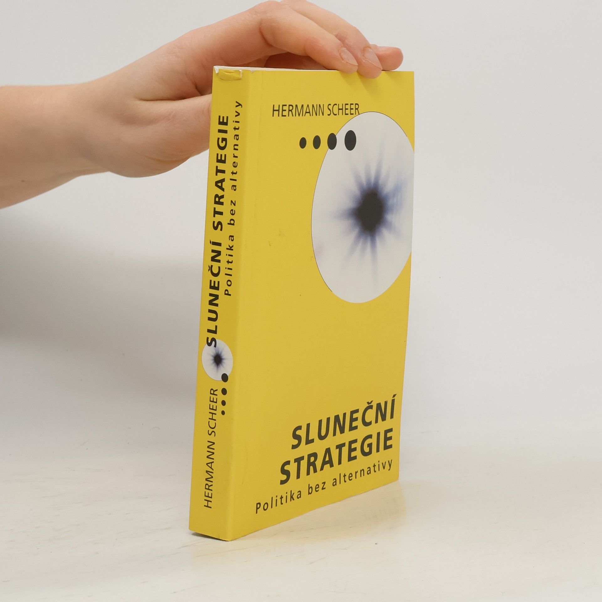 Sluneční strategie - Politika bez alternativy