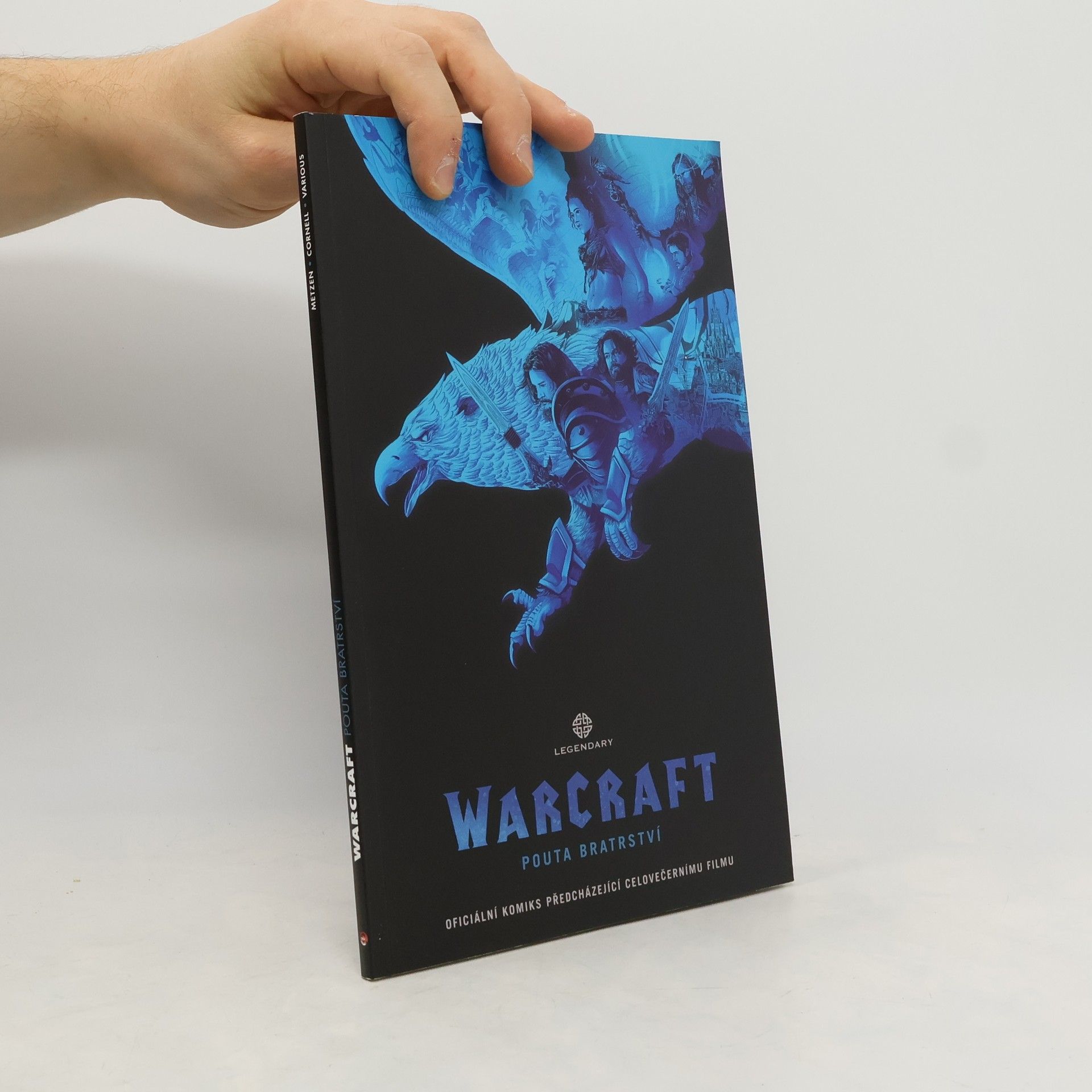 Kolektiv autorů Warcraft. Pouta bratrství