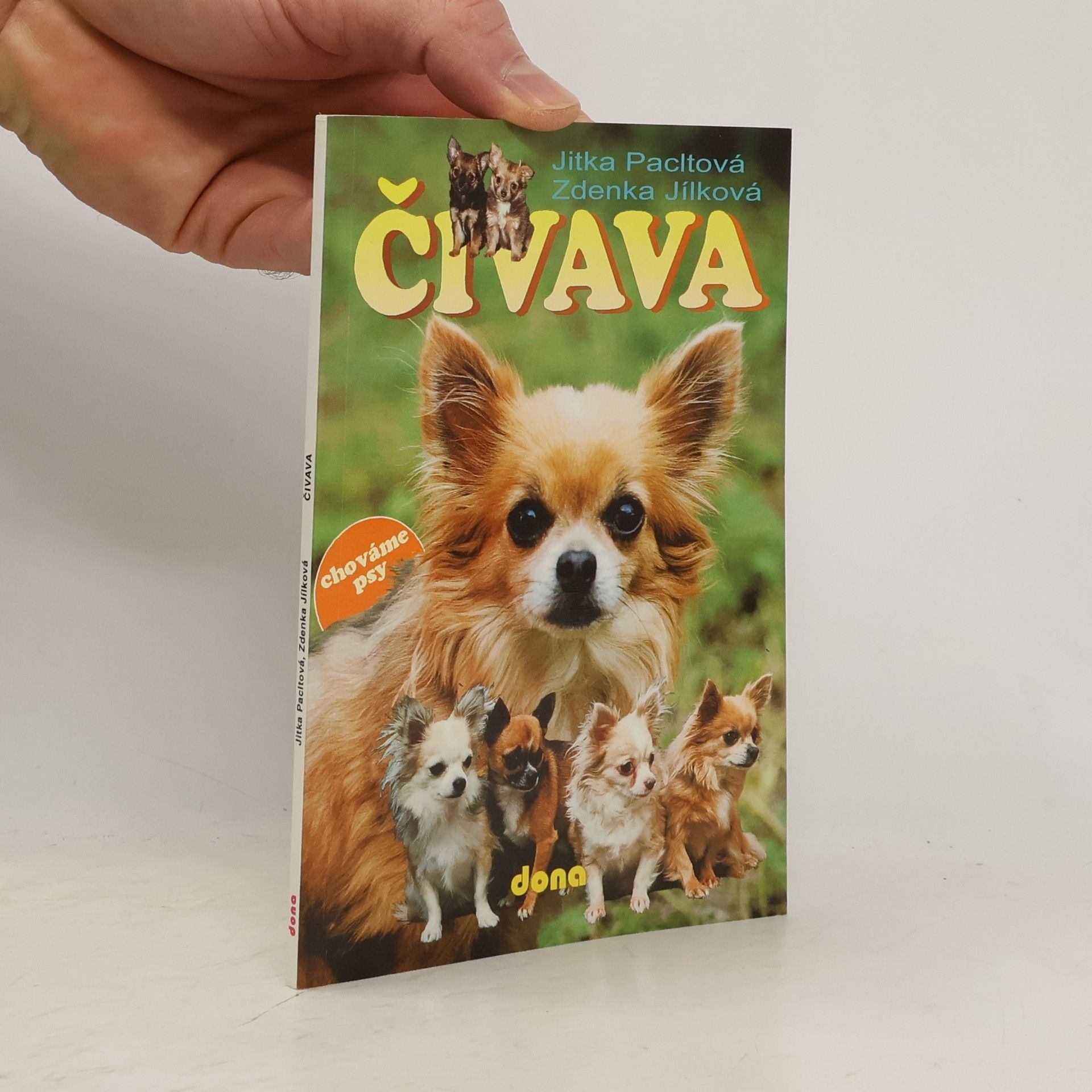 Jitka Pacltová Čivava